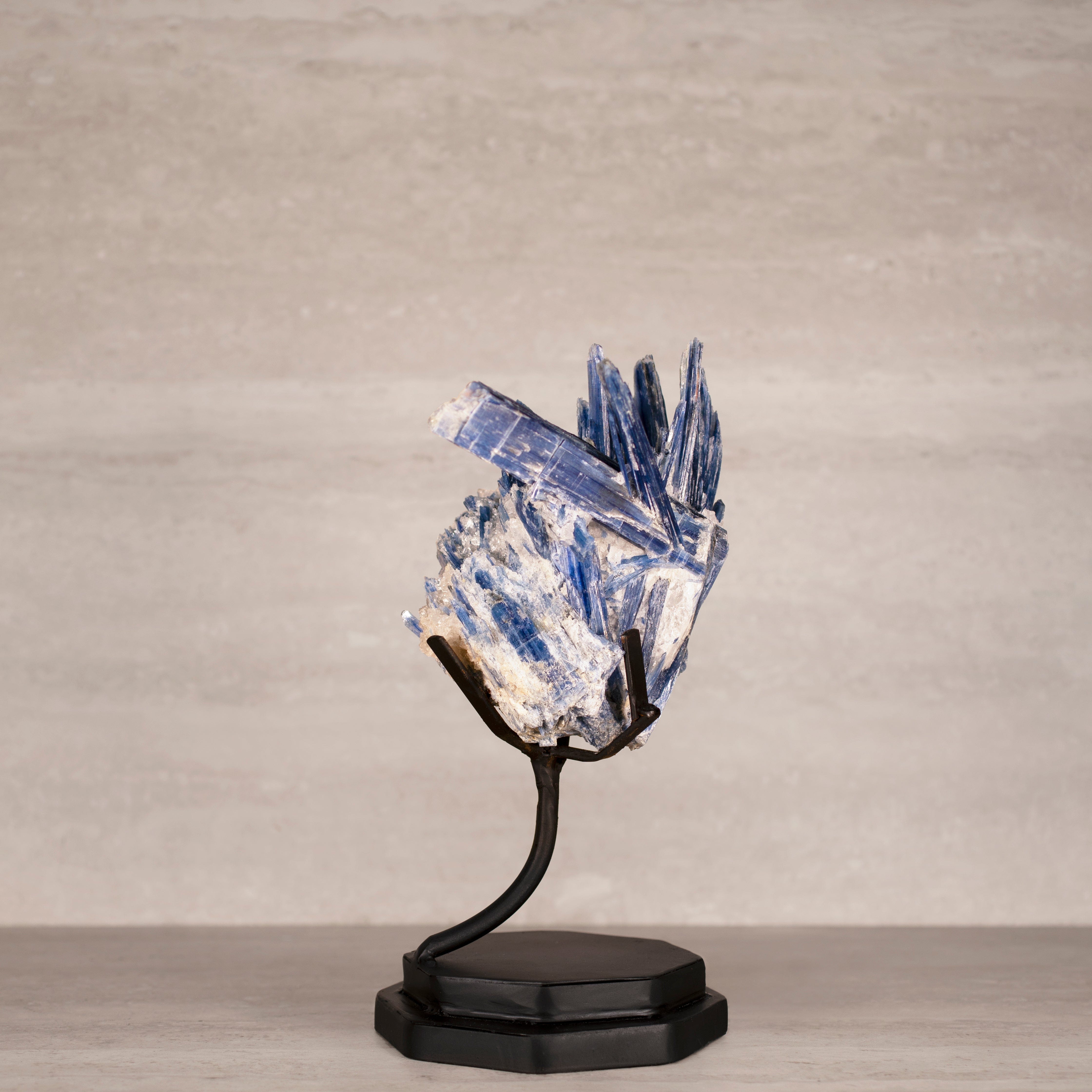 Kalifano Kyanite Natural Brazilian Kyanite on Custom Stand - 12" / 2,700 grams KYNT4400.002