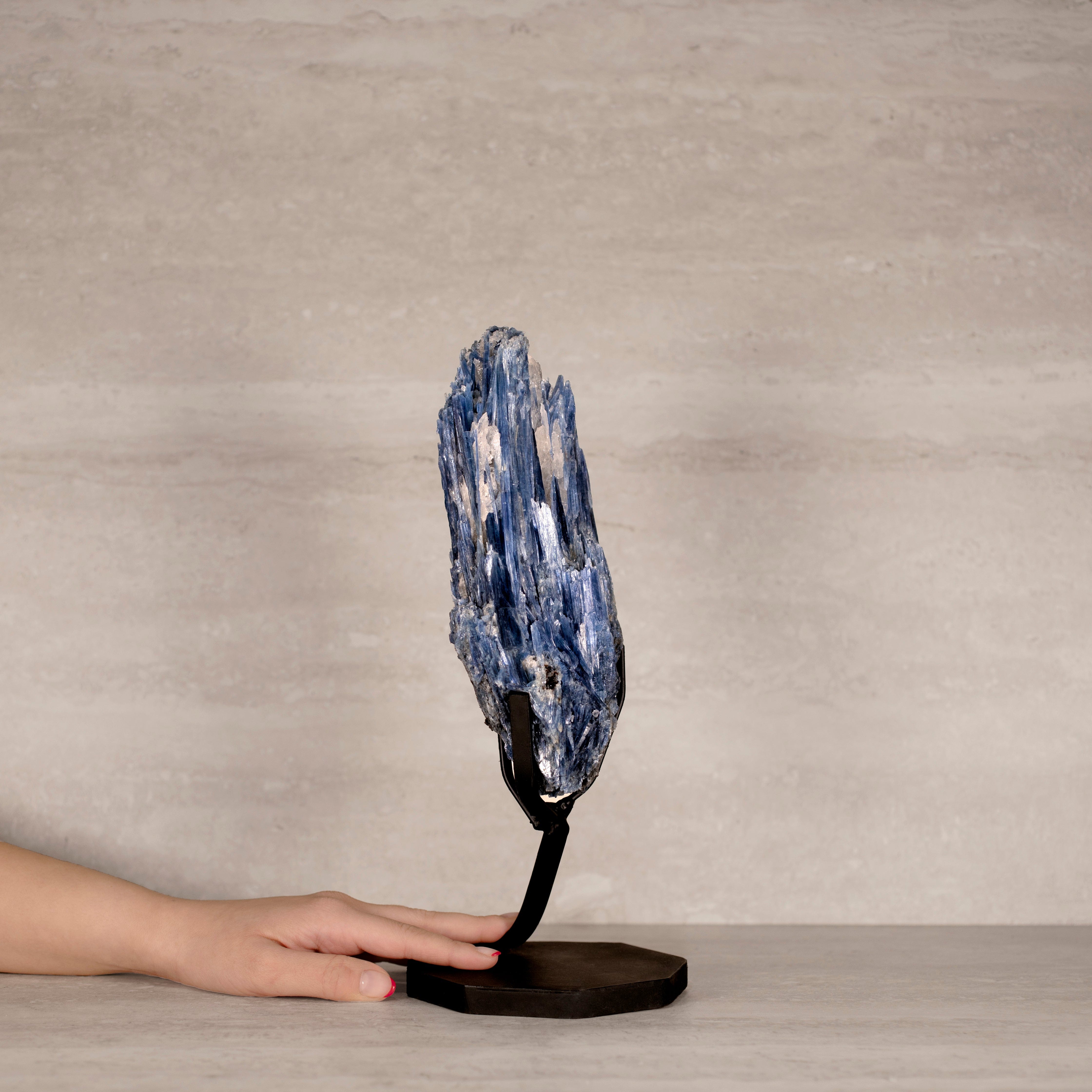 Kalifano Kyanite Natural Brazilian Kyanite on Custom Stand - 12.75" / 2,720 grams KYNT4200.001