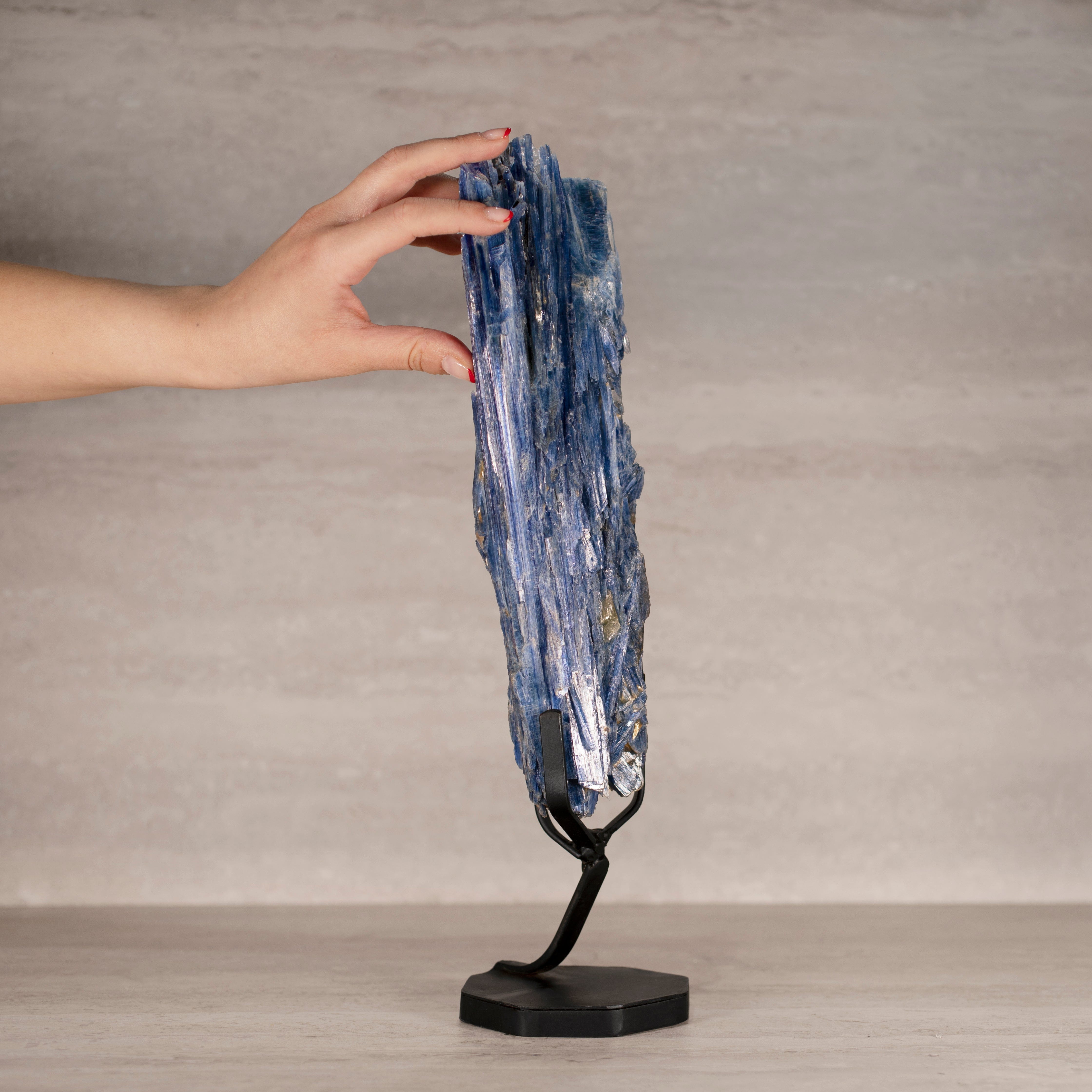Kalifano Kyanite Natural Brazilian Kyanite on Custom Stand - 15.75" / 2,270 grams KYNT3900.001