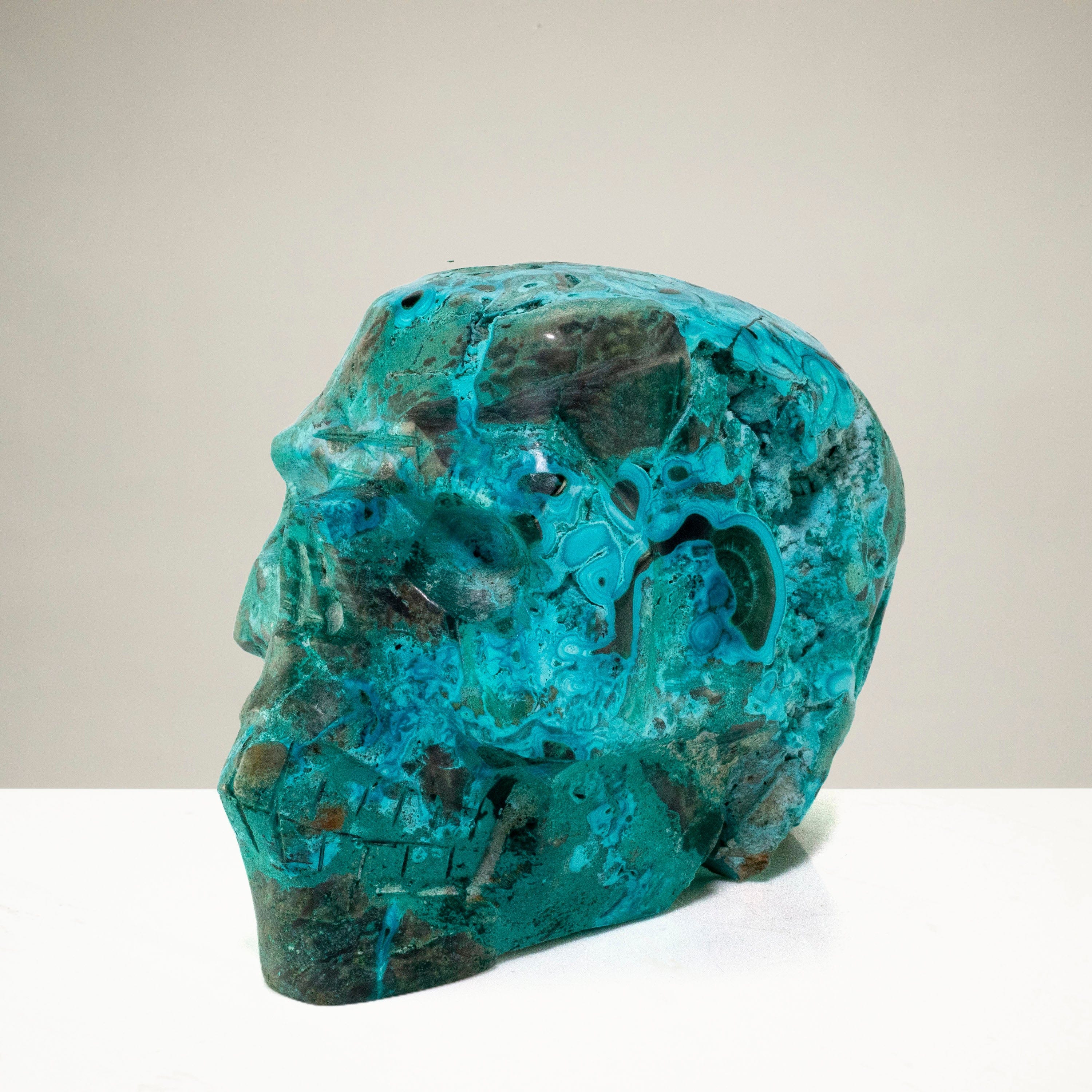 Kalifano Malachite Chrysocolla Skull Carving 4" / 596g SK2200-CRY.001
