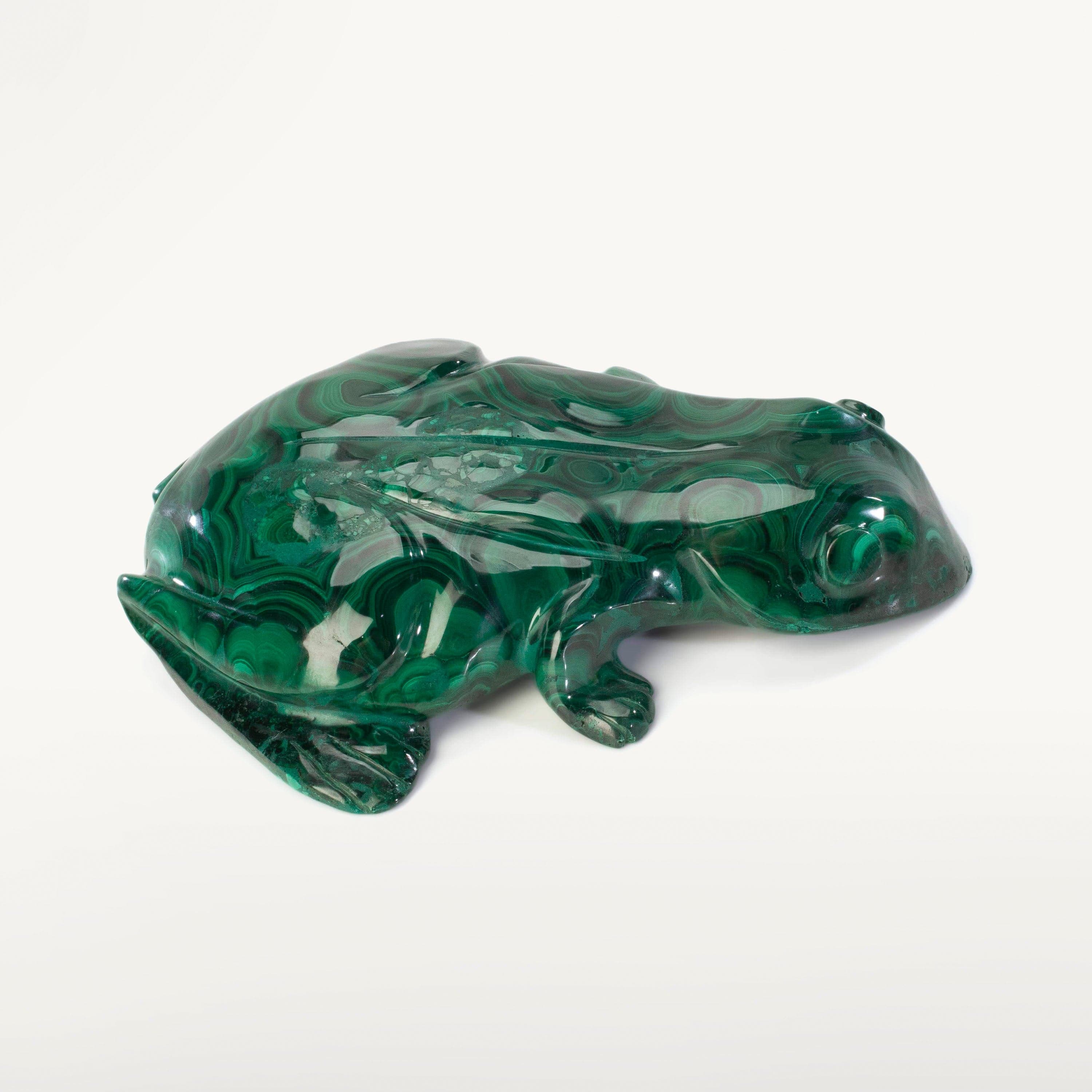 Kalifano Malachite Malachite Frog Carving 7" / 1,780g CV5600-MA.001