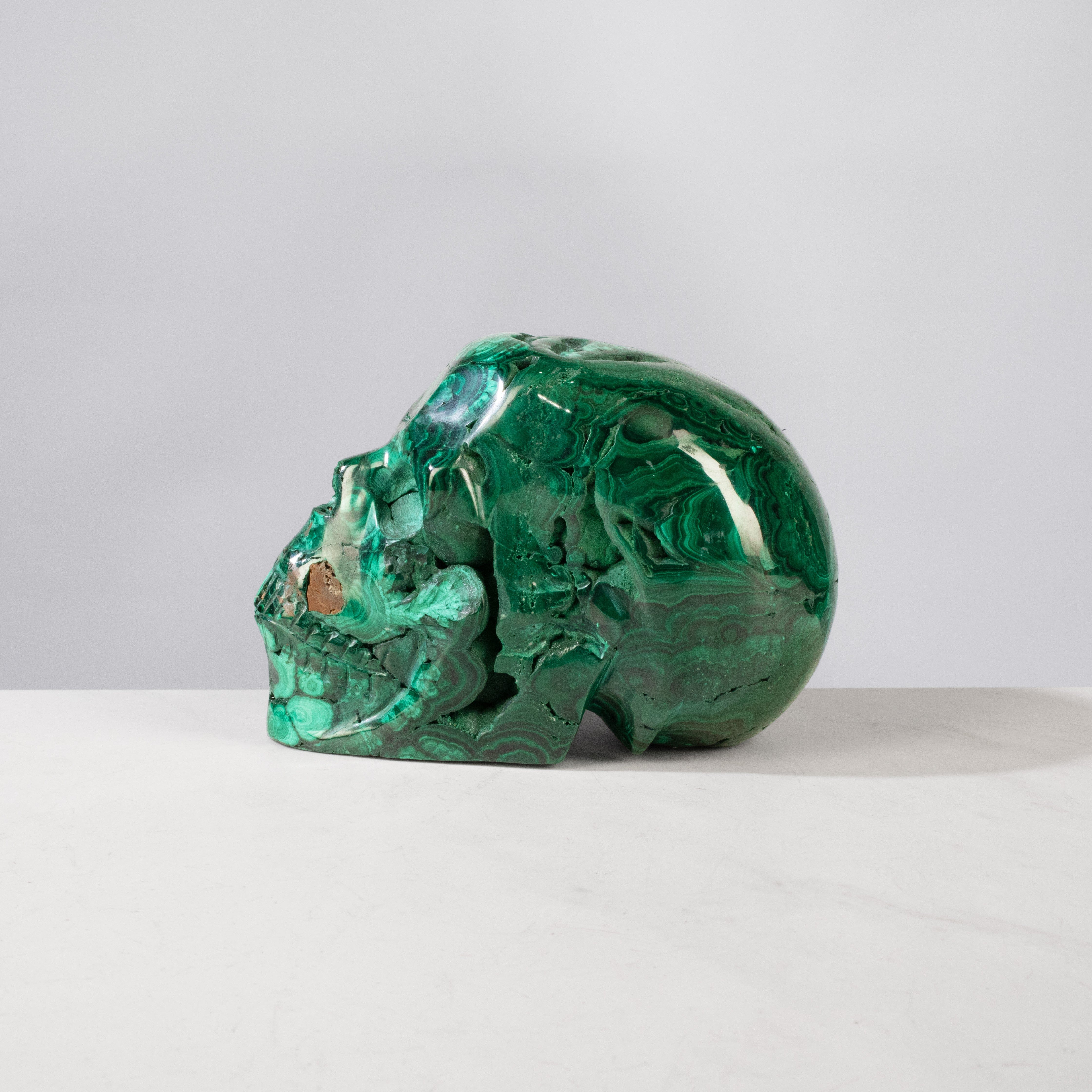 Kalifano Malachite Malachite Skull Carving from Congo - 5" / 1,748 g MA7800.003