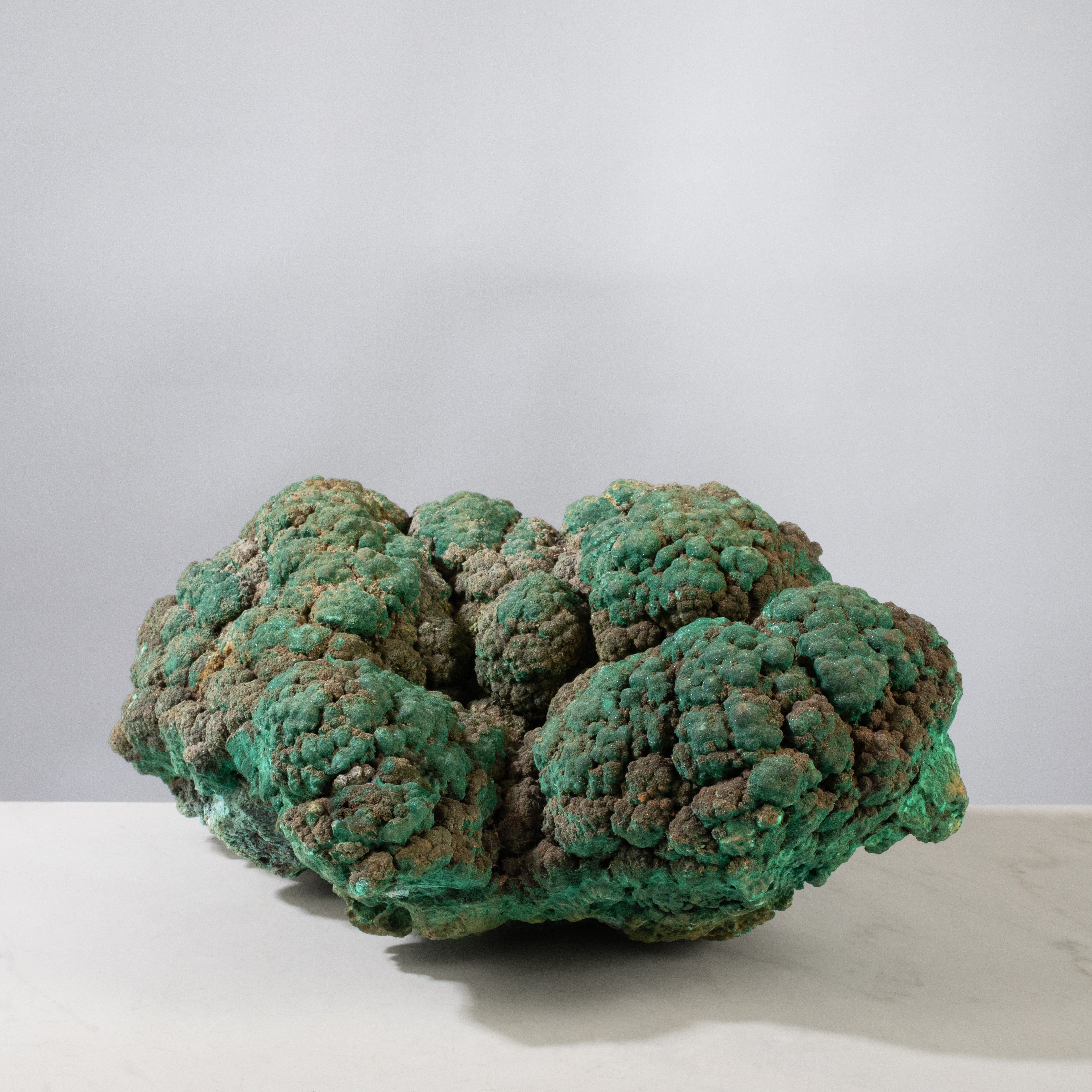 Kalifano Malachite Natural Malachite Freeform Specimen from Congo - 14" / 29.5 lbs MA19200.003