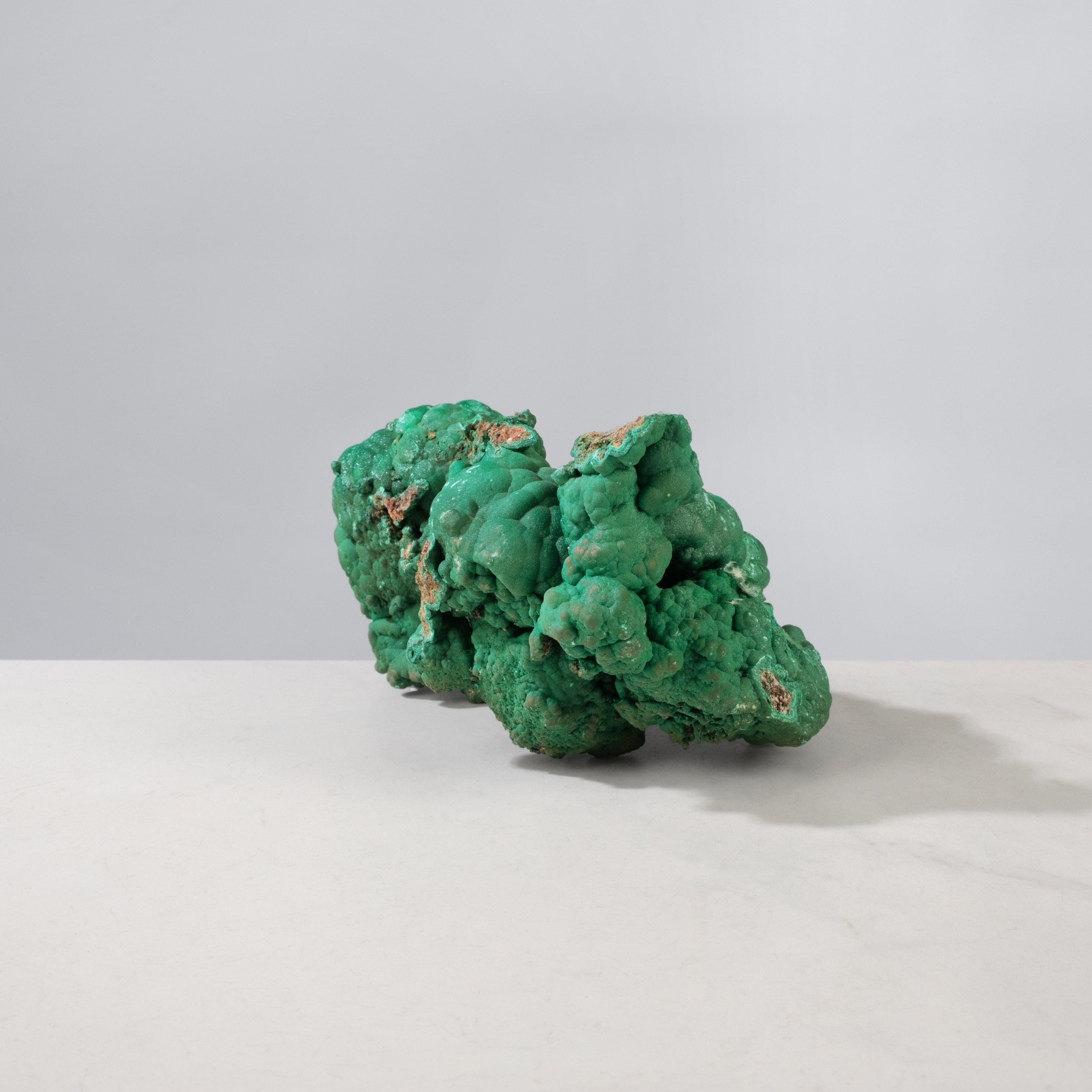 Kalifano Malachite Natural Malachite Freeform Specimen from Congo - 5.75" / 1,217 g MA1600.007