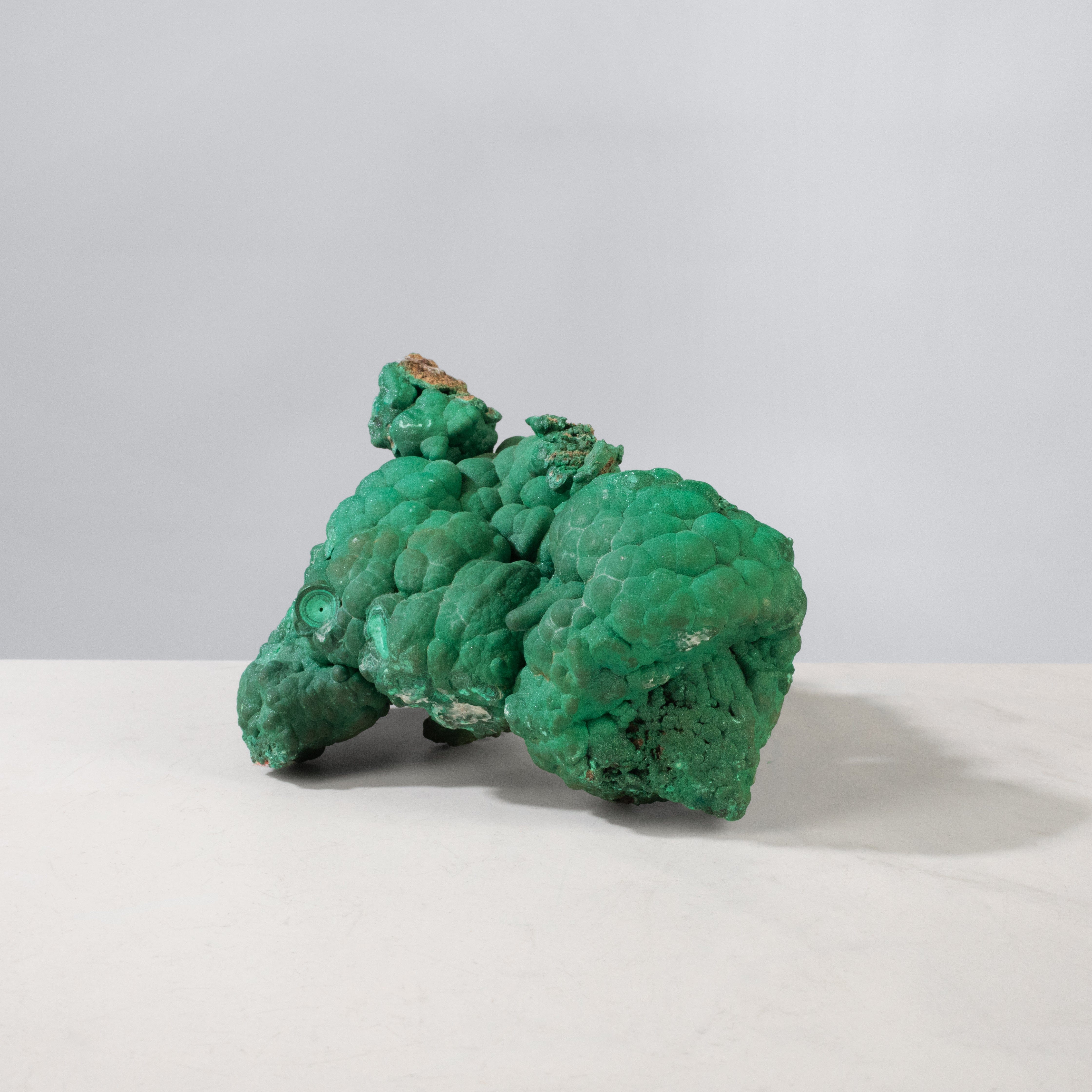 Kalifano Malachite Natural Malachite Freeform Specimen from Congo - 5.75" / 1,217 g MA1600.007