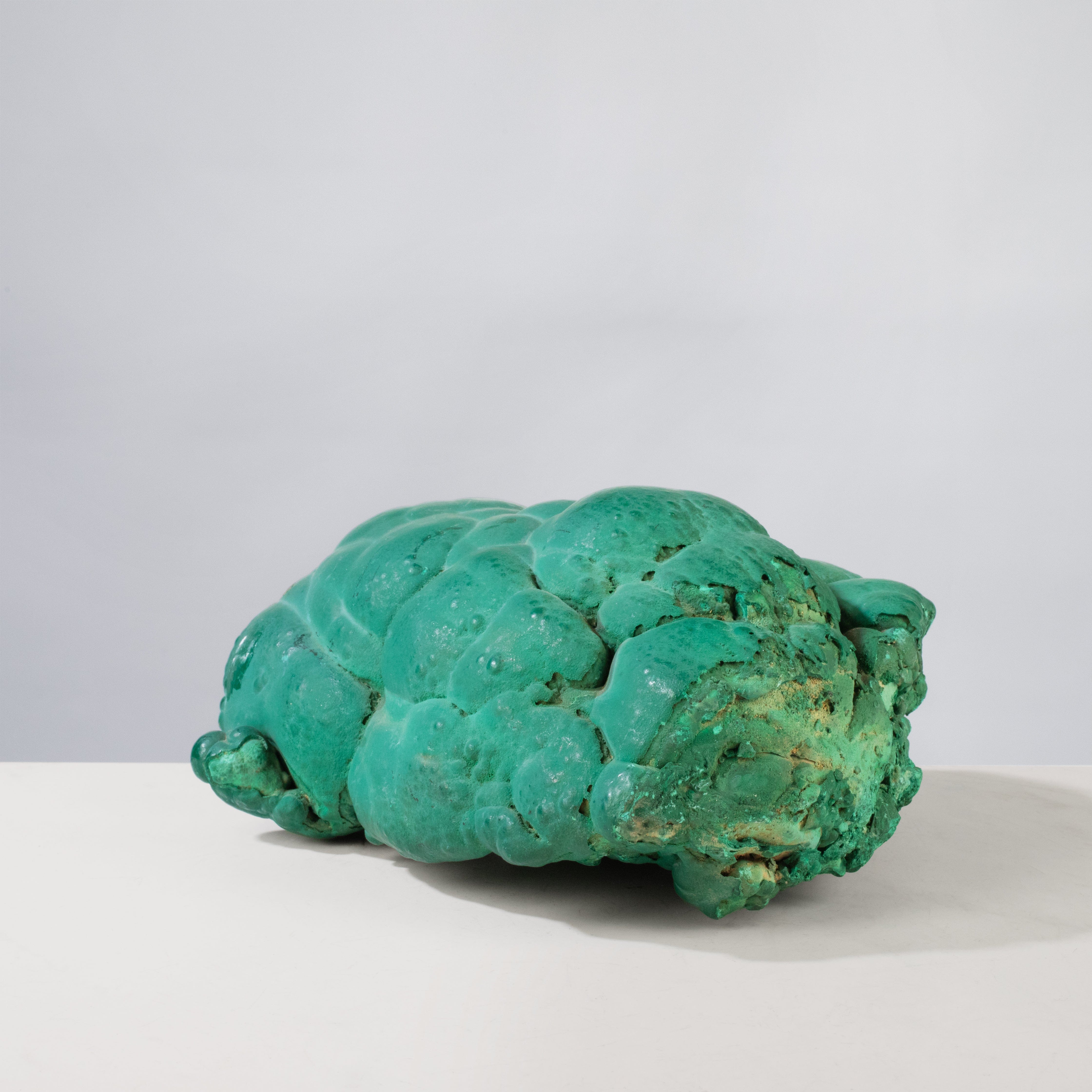 Kalifano Malachite Natural Malachite Freeform Specimen from Congo - 9.25" / 14.2 lbs MA8600.001