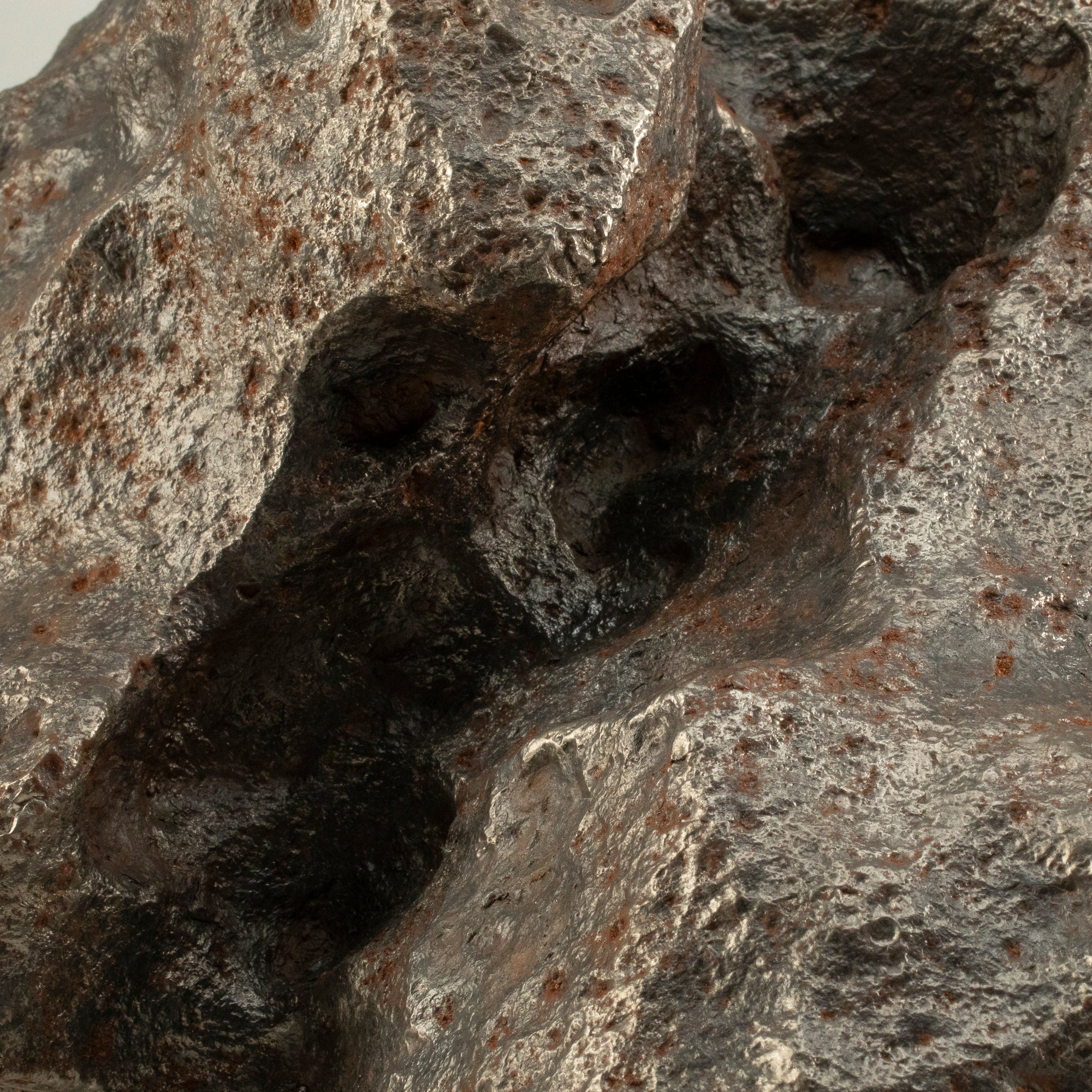 Kalifano Meteorites Campo Del Cielo Iron Meteorite End Cut from Chaco, Argentina 13" / 35.3 kgs MTCC480000.001
