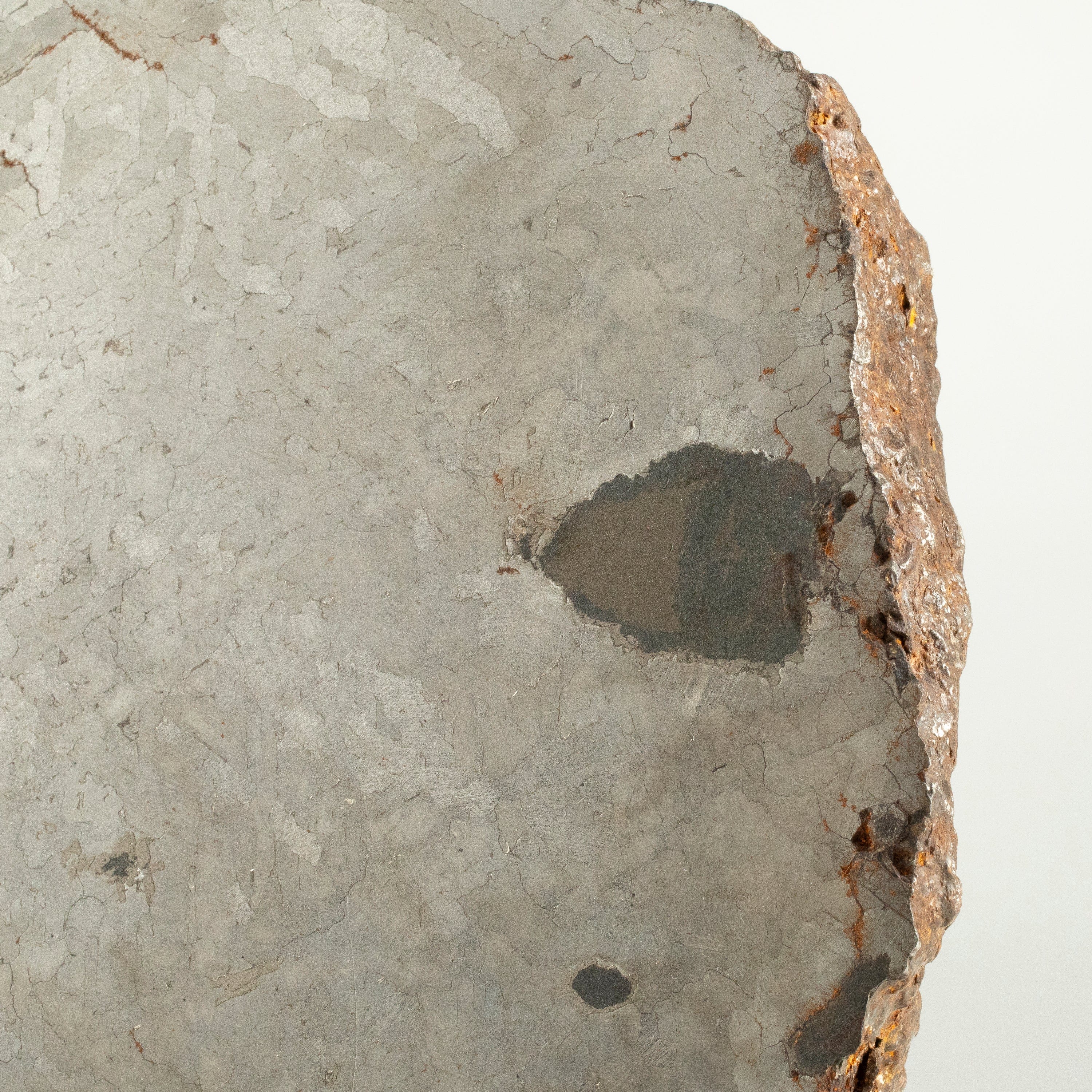 Kalifano Meteorites Campo Del Cielo Iron Meteorite from Chaco, Argentina 15" / 21.5 kgs MTCC258000.001