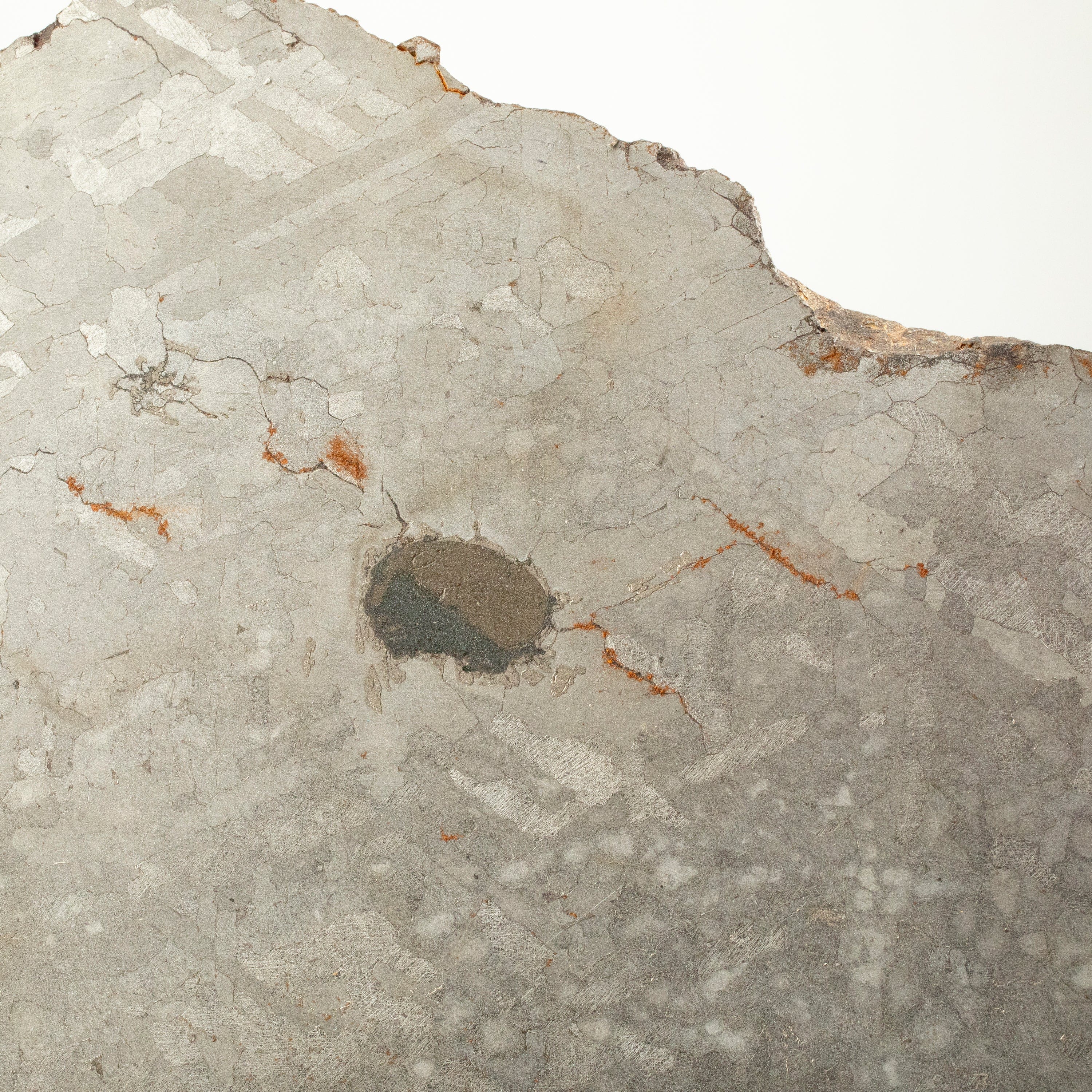 Kalifano Meteorites Campo Del Cielo Iron Meteorite from Chaco, Argentina 15" / 21.5 kgs MTCC258000.001