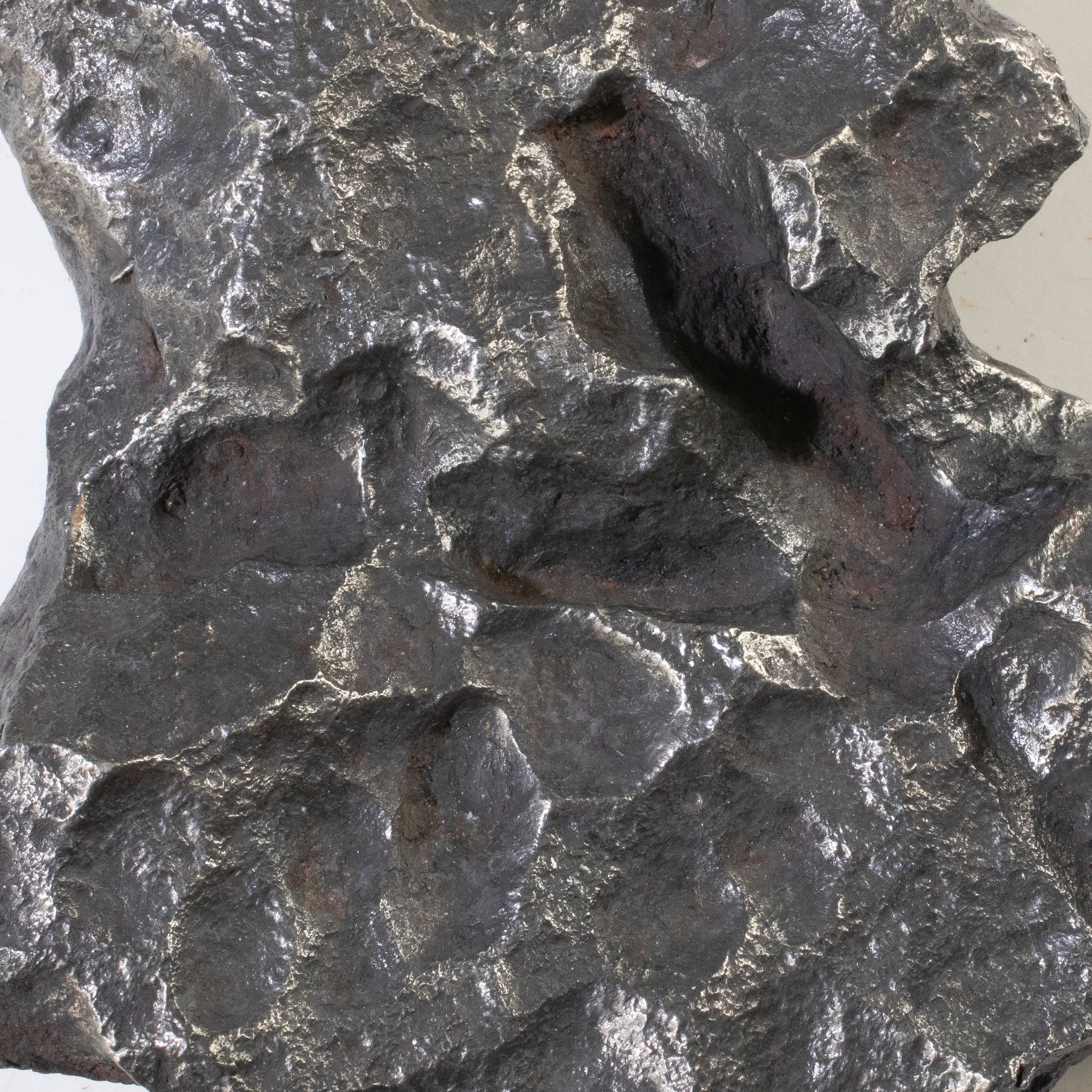Kalifano Meteorites Campo del Cielo Iron Meteorite from Chaco, Argentina 8.5" / 4,060 grams MTCC192000.001