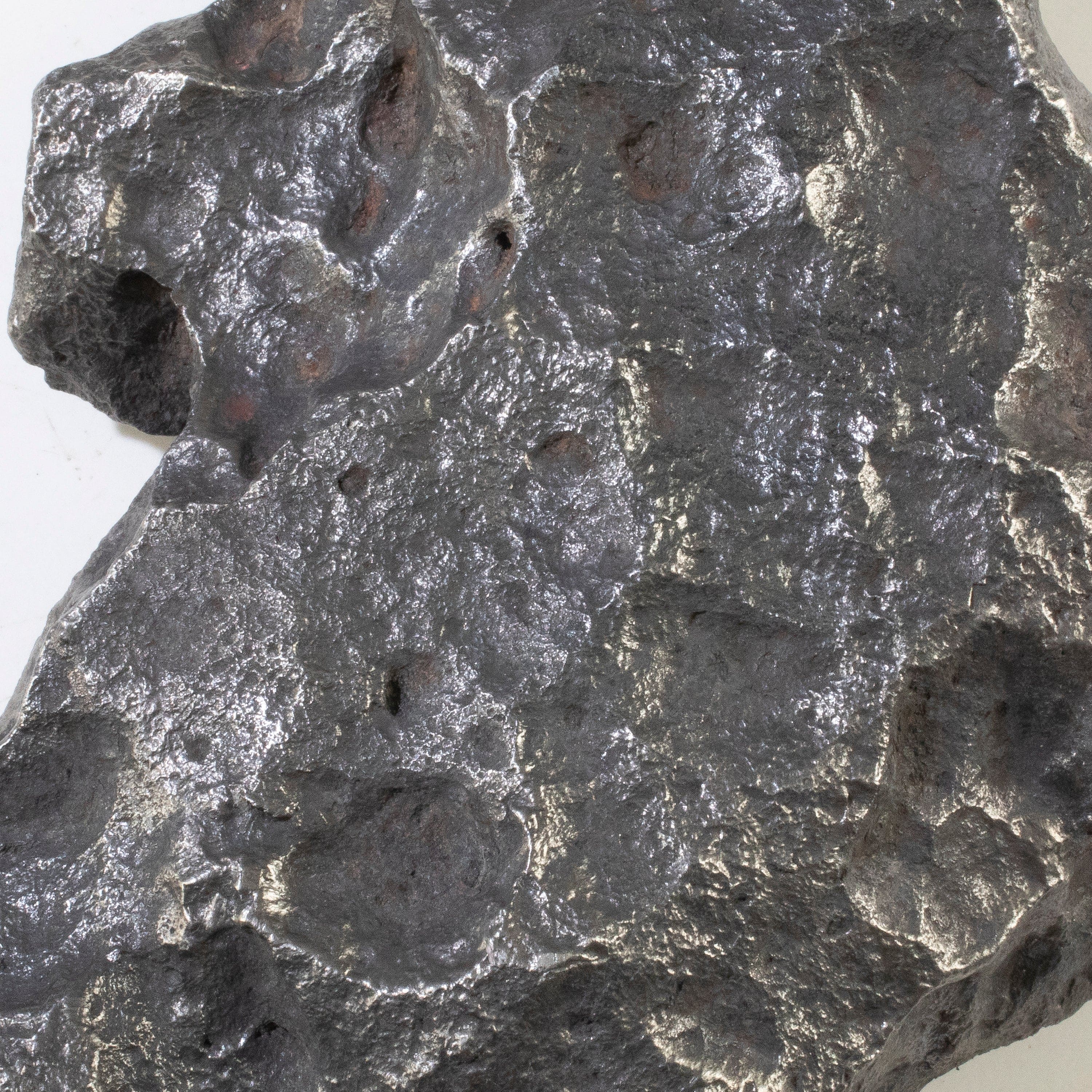 Kalifano Meteorites Campo del Cielo Iron Meteorite from Chaco, Argentina 8.5" / 4,060 grams MTCC192000.001
