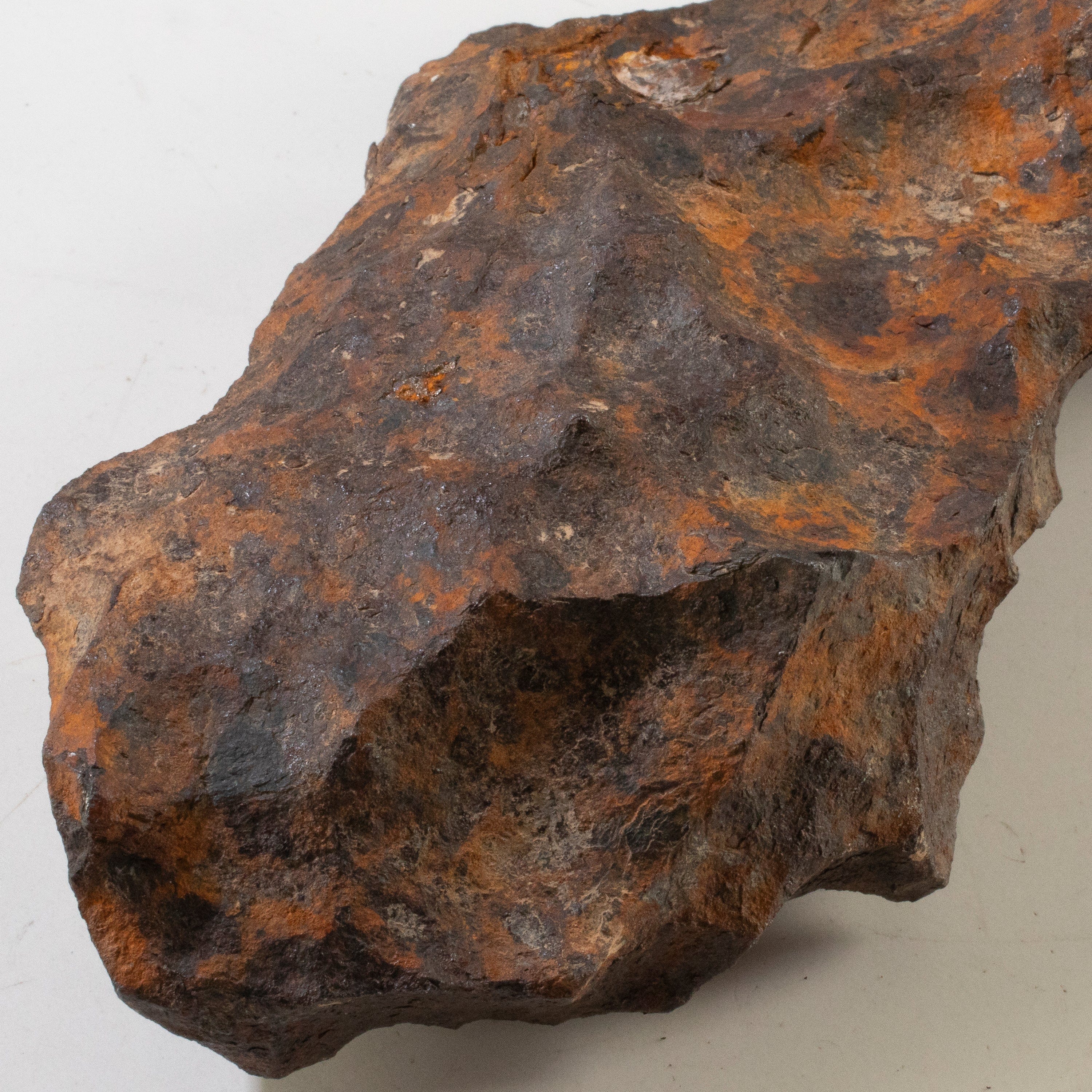 Kalifano Meteorites Canyon Diablo Iron Meteorite "The Bat" from Yavapai County, Arizona 12" / 7,110 grams MTCD352000.001