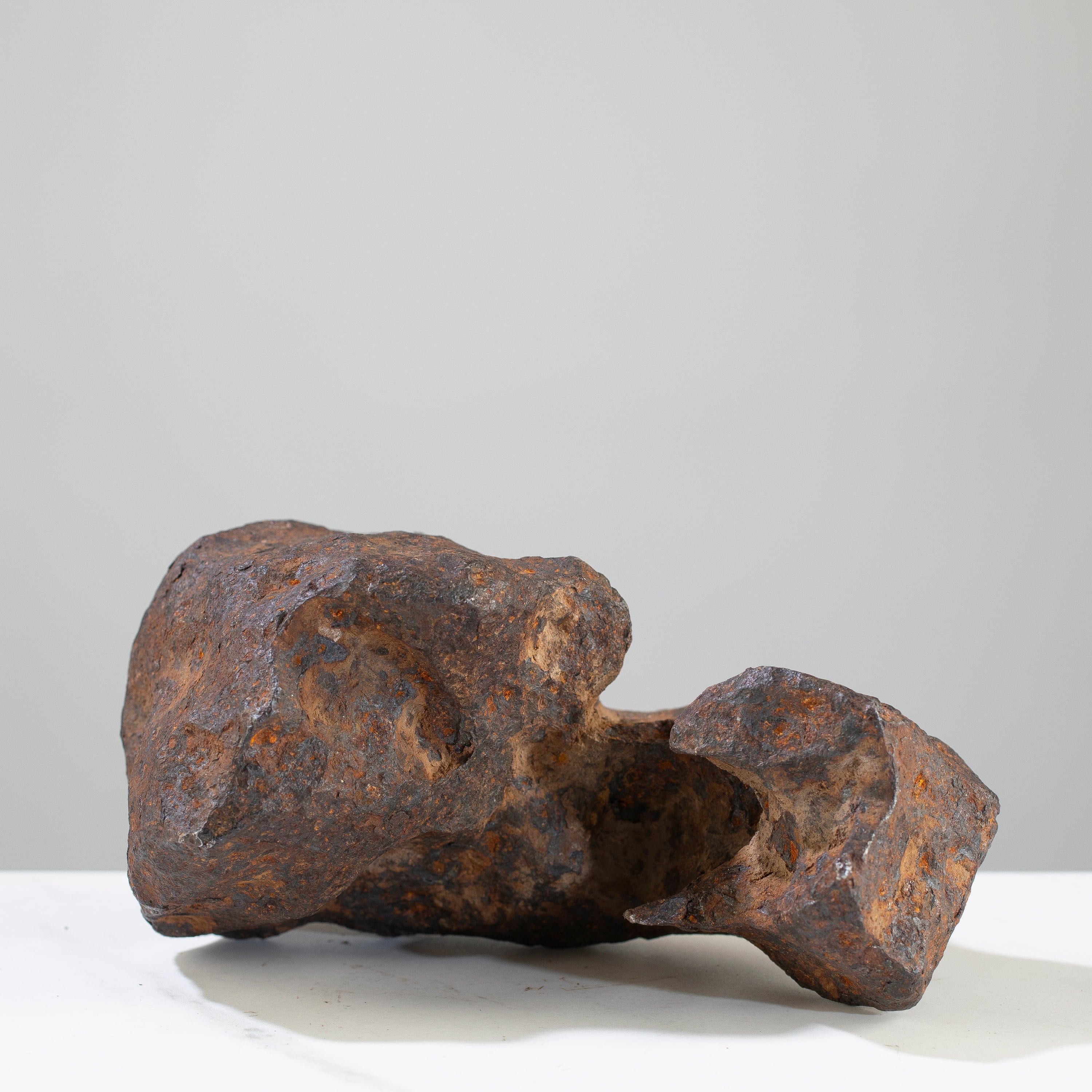 Kalifano Meteorites Canyon Diablo Iron Meteorite "The Bear Jaw" from Yavapai County, Arizona 7" / 3,764 grams MTCD192000.001