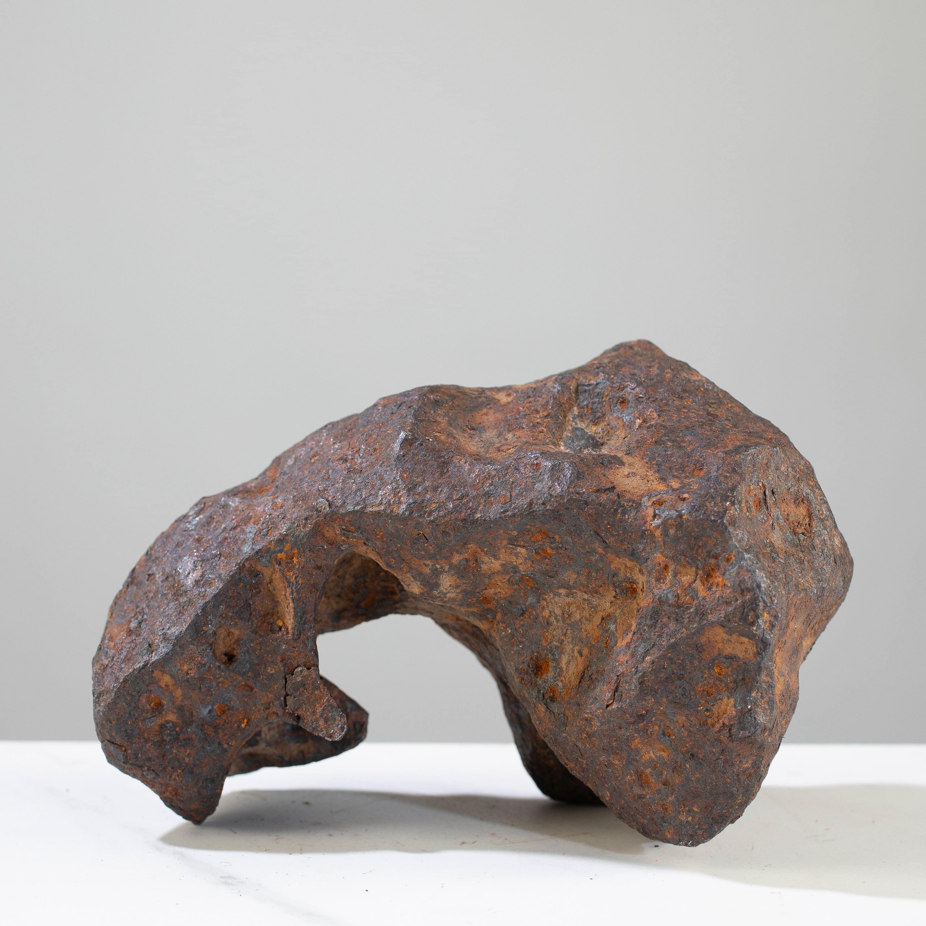 Kalifano Meteorites Canyon Diablo Iron Meteorite "The Bear Jaw" from Yavapai County, Arizona 7" / 3,764 grams MTCD192000.001