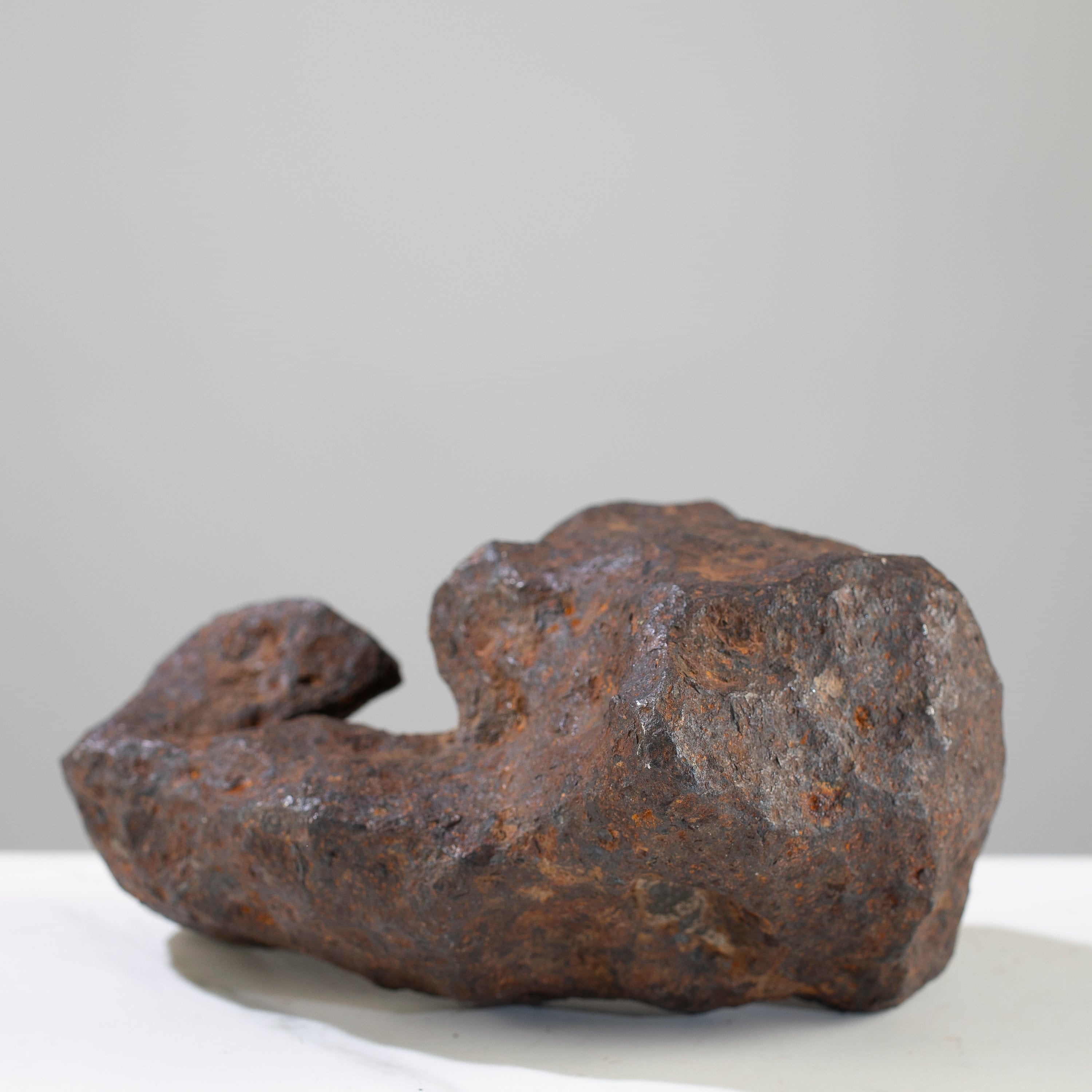 Kalifano Meteorites Canyon Diablo Iron Meteorite "The Bear Jaw" from Yavapai County, Arizona 7" / 3,764 grams MTCD192000.001