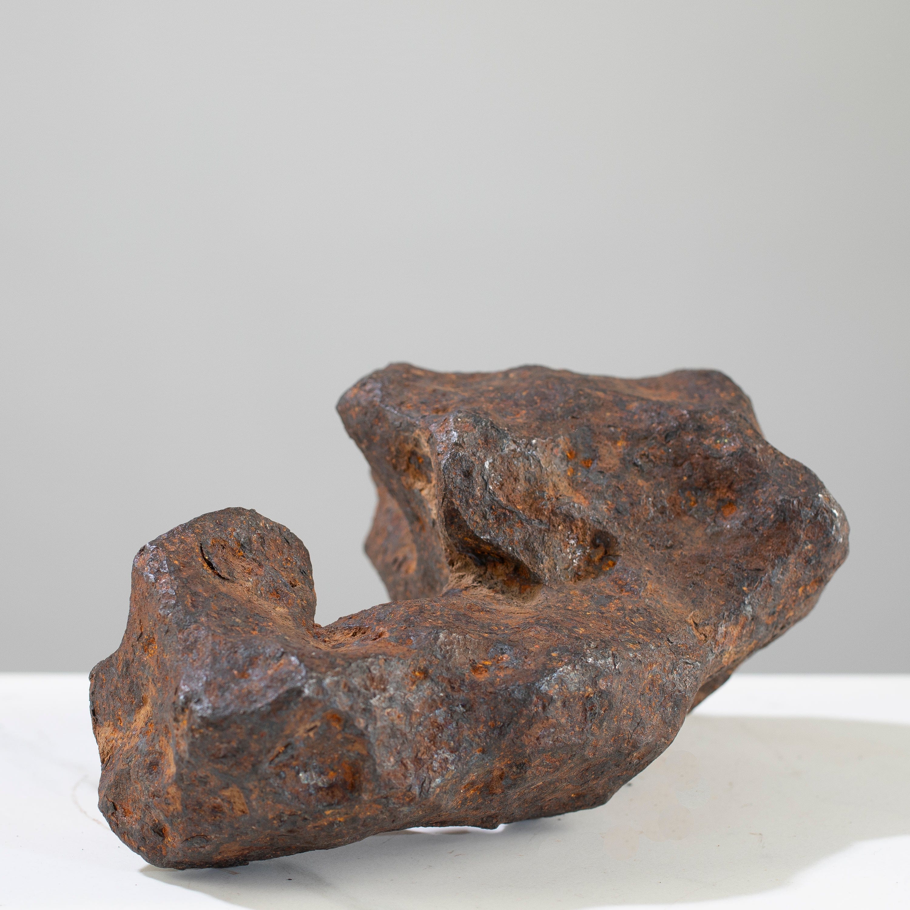 Kalifano Meteorites Canyon Diablo Iron Meteorite "The Bear Jaw" from Yavapai County, Arizona 7" / 3,764 grams MTCD192000.001