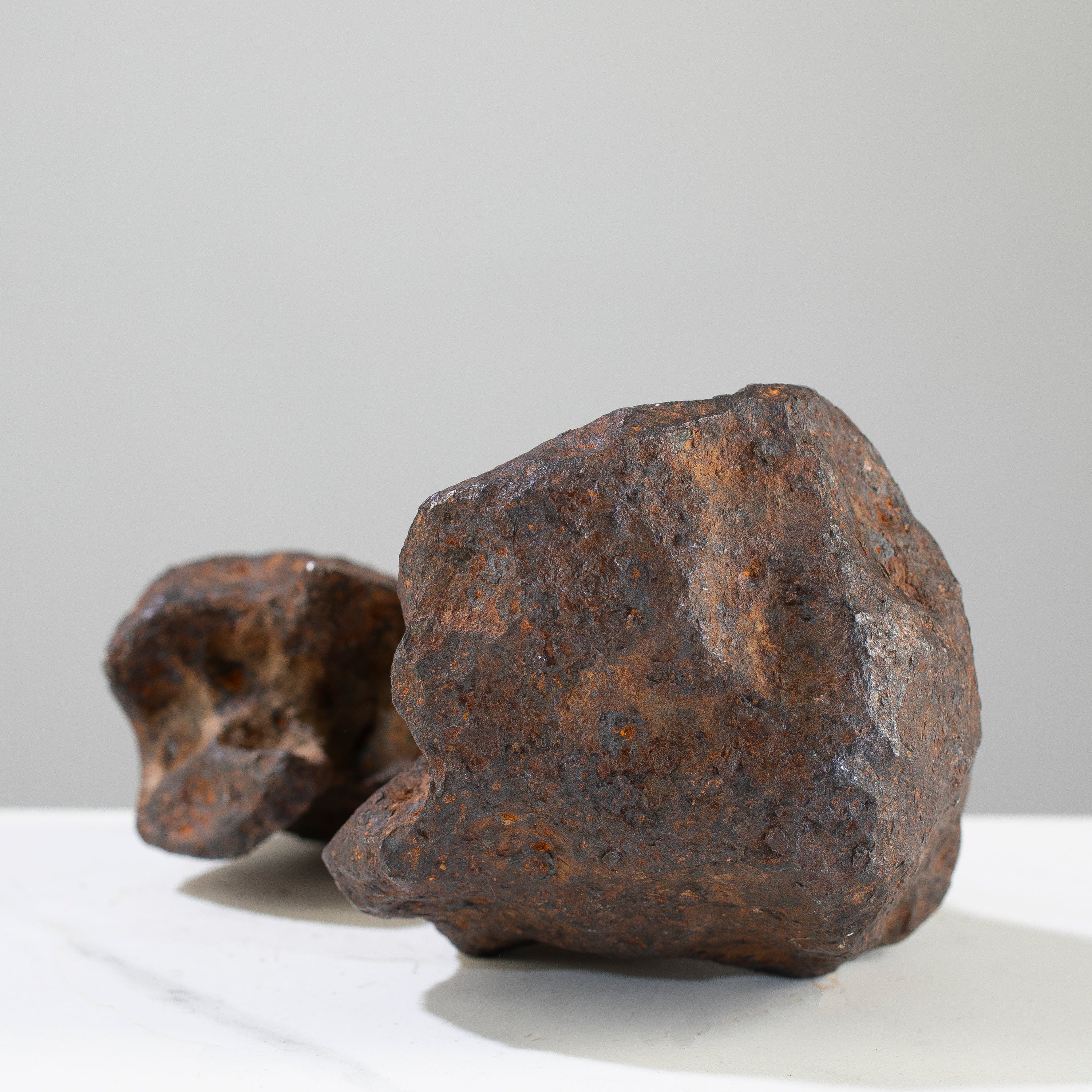Kalifano Meteorites Canyon Diablo Iron Meteorite "The Bear Jaw" from Yavapai County, Arizona 7" / 3,764 grams MTCD192000.001