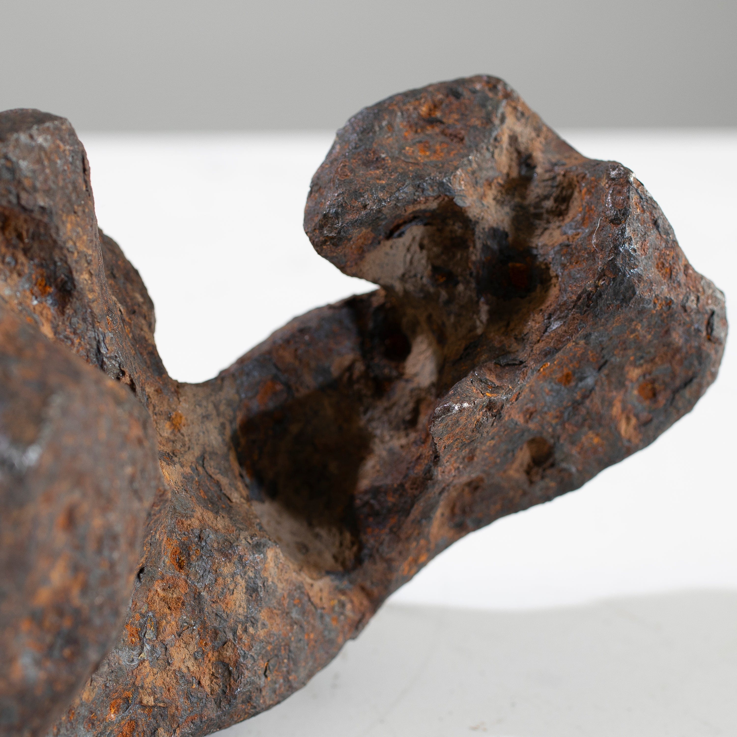 Kalifano Meteorites Canyon Diablo Iron Meteorite "The Bear Jaw" from Yavapai County, Arizona 7" / 3,764 grams MTCD192000.001