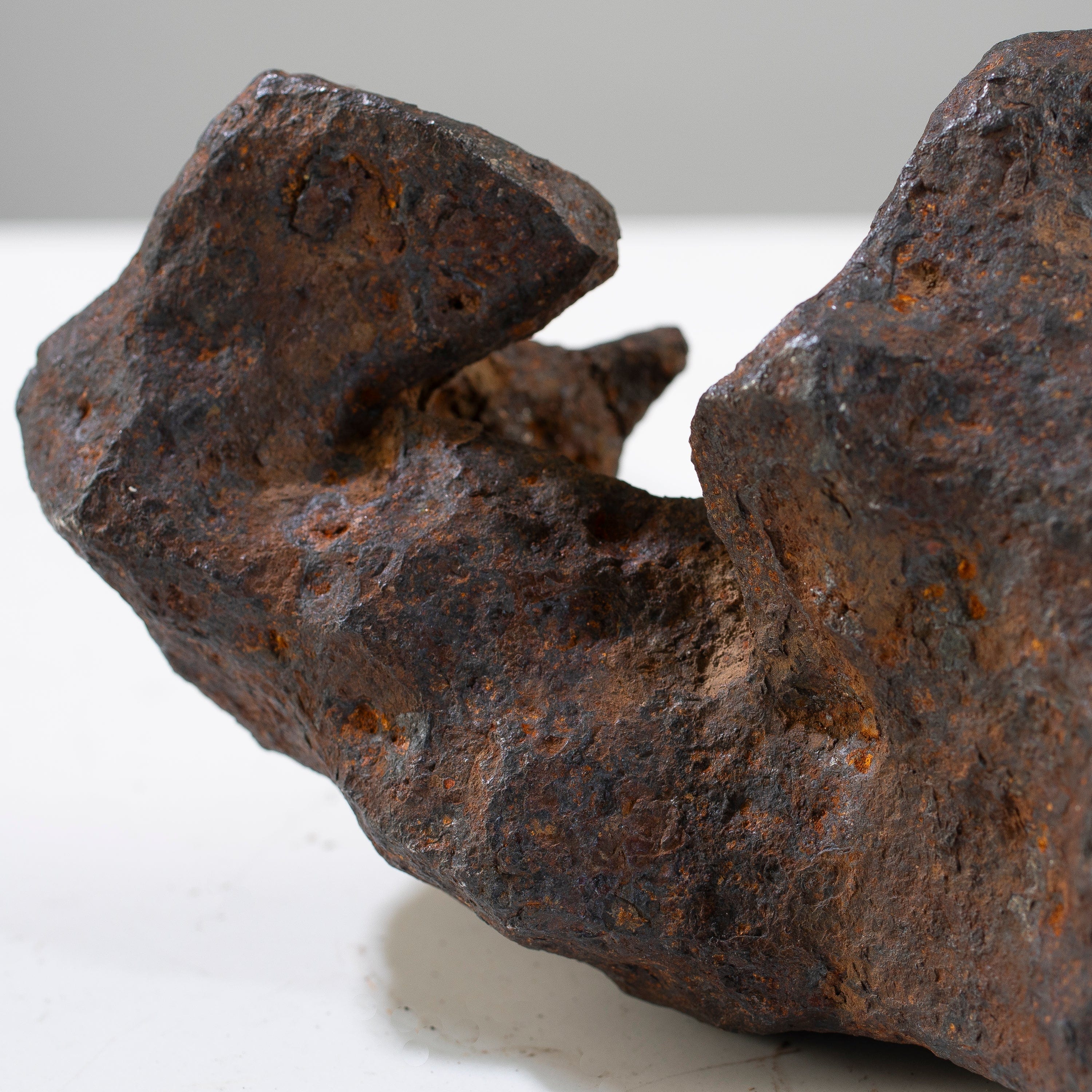 Kalifano Meteorites Canyon Diablo Iron Meteorite "The Bear Jaw" from Yavapai County, Arizona 7" / 3,764 grams MTCD192000.001