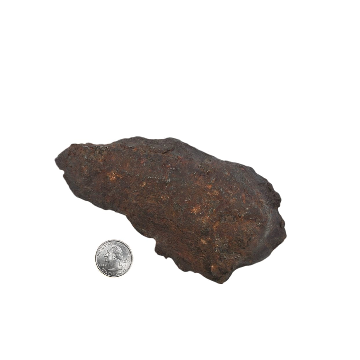 Kalifano Meteorites Gebel Kamil Iron Meteorite from East Uweinat Desert, Egypt 5.5" / 1,056 grams MTGK25600.001