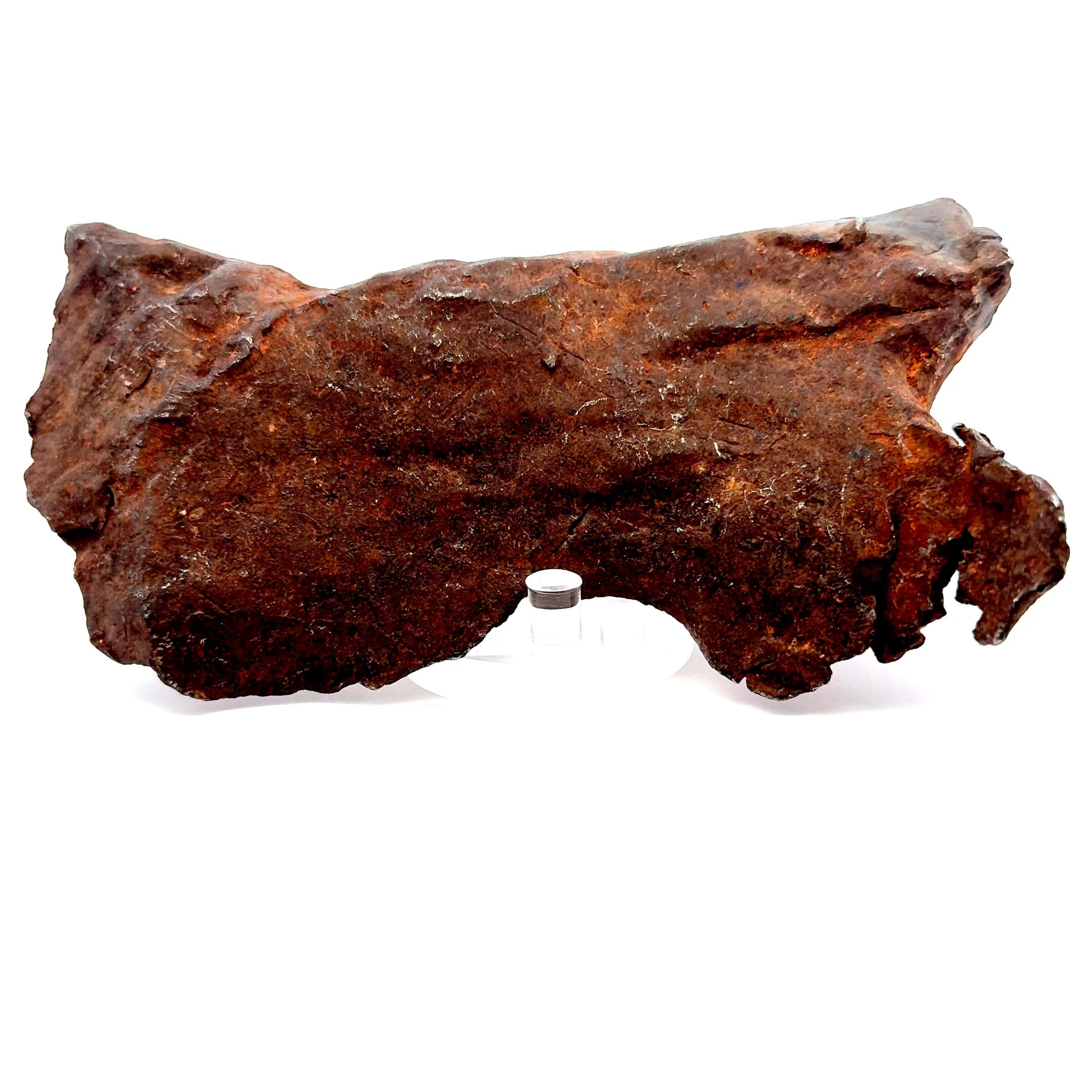 Kalifano Meteorites Gebel Kamil Iron Meteorite from East Uweinat Desert, Egypt 6.5" / 1,524 grams MTGK36800.001