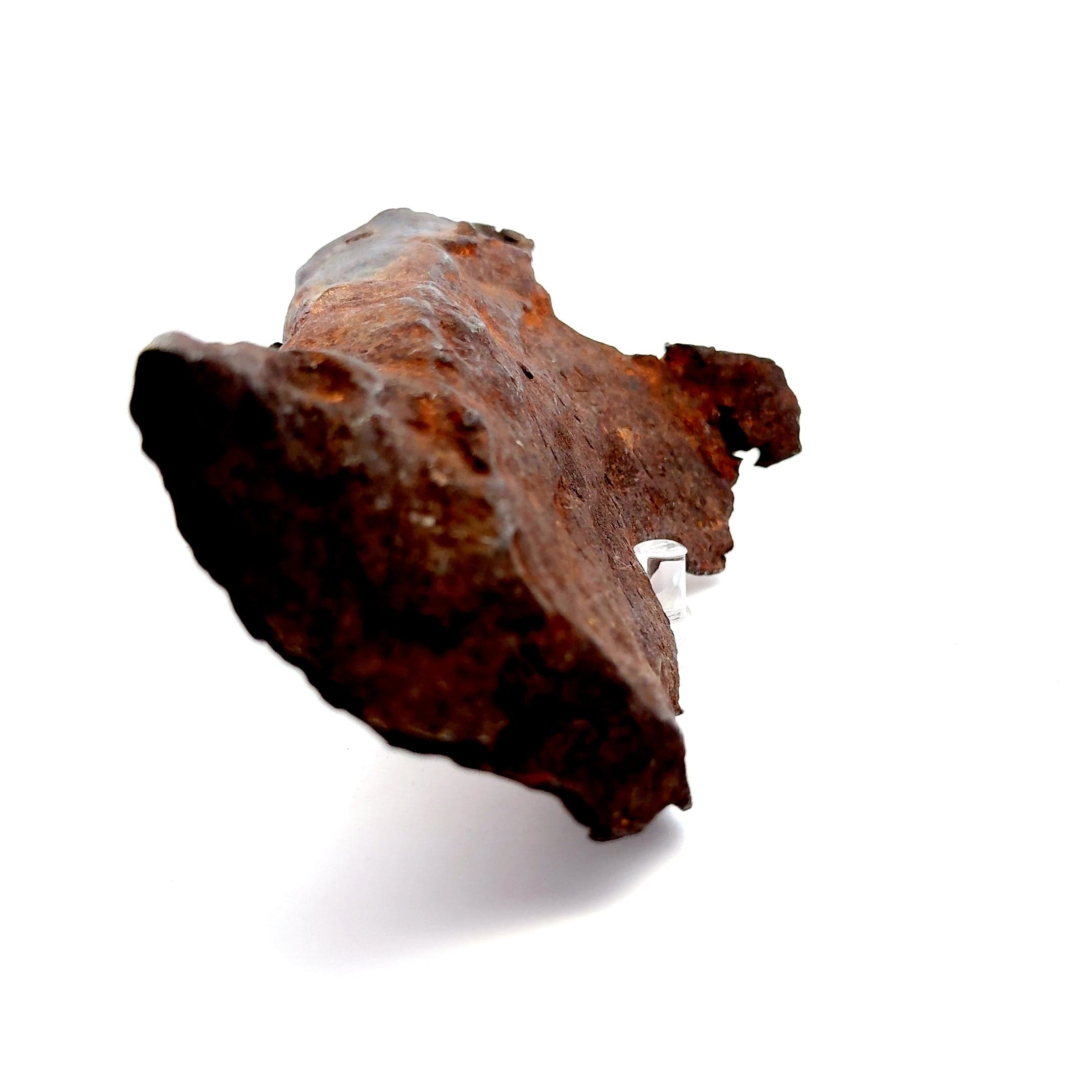 Kalifano Meteorites Gebel Kamil Iron Meteorite from East Uweinat Desert, Egypt 6.5" / 1,524 grams MTGK36800.001