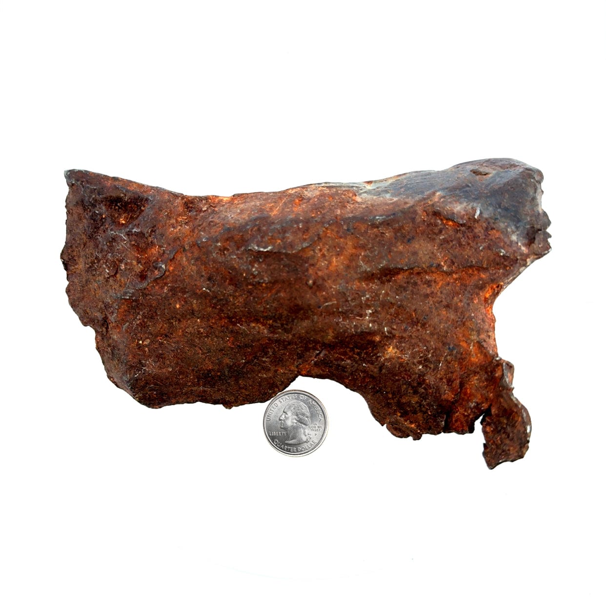 Kalifano Meteorites Gebel Kamil Iron Meteorite from East Uweinat Desert, Egypt 6.5" / 1,524 grams MTGK36800.001