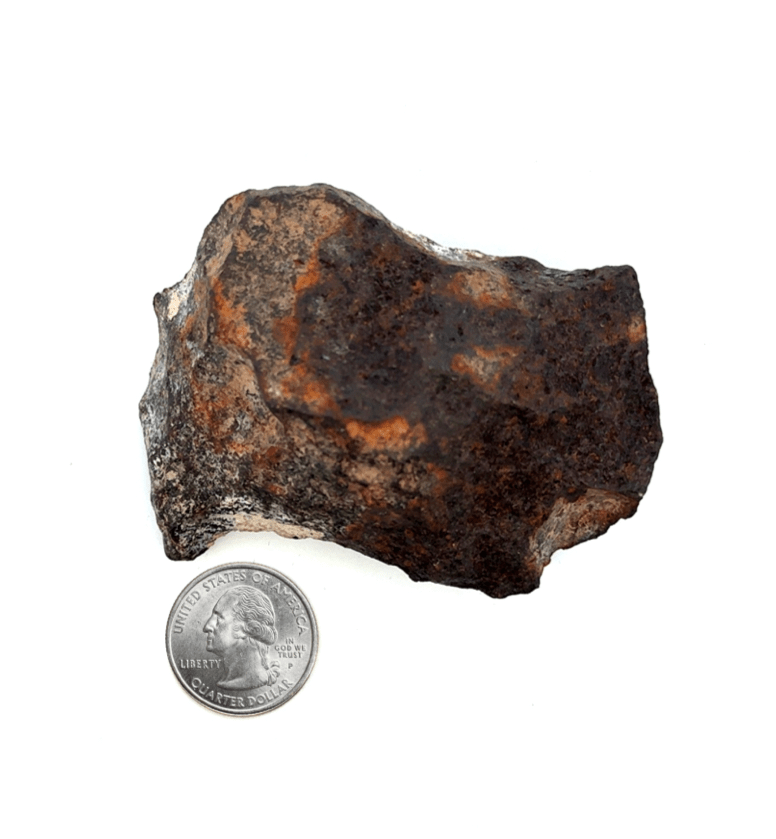 Kalifano Meteorites Gibeon Iron Meteorite from Namibia 3.25" / 428 grams MTG24000.001
