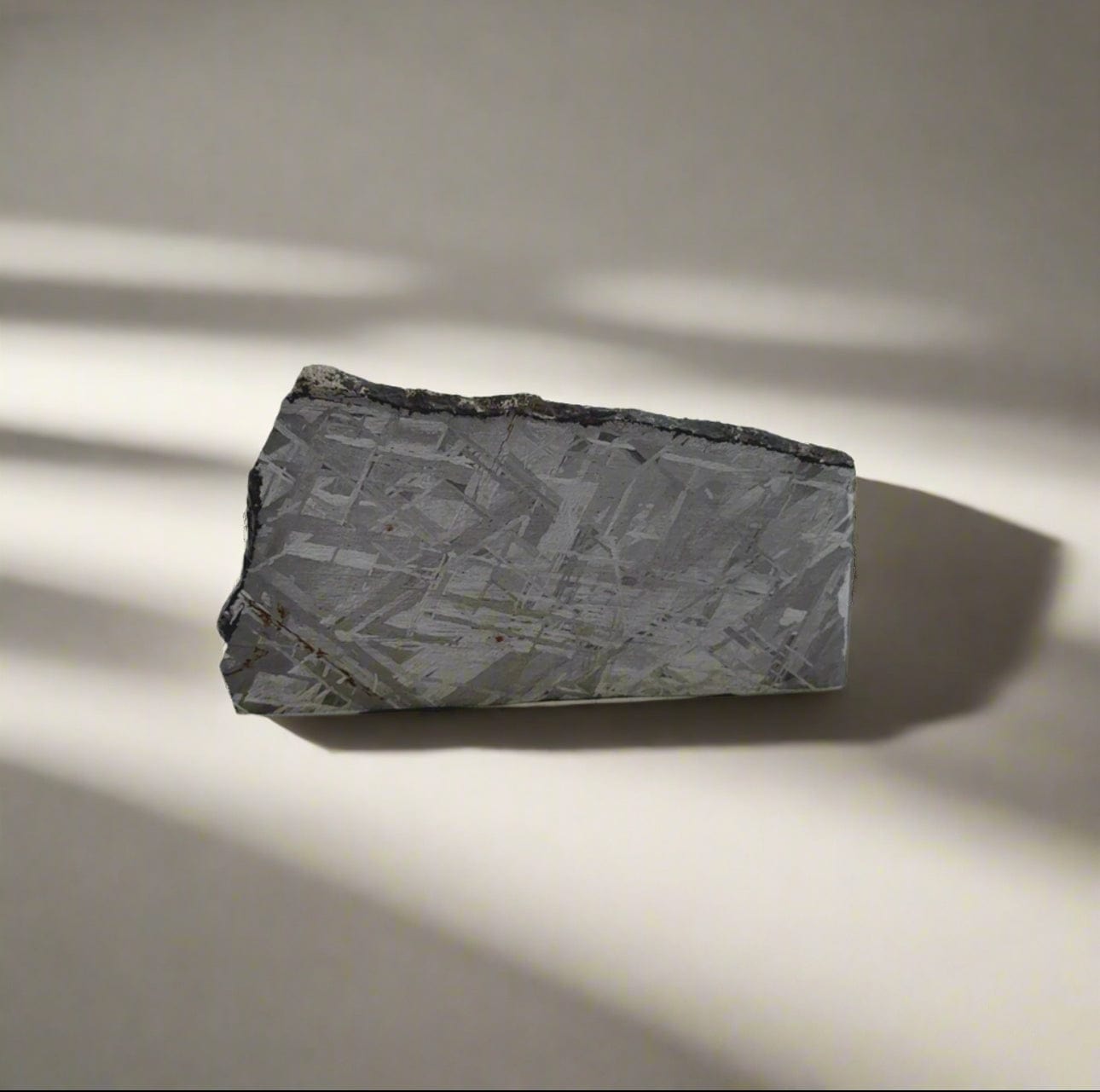 Kalifano Meteorites Gibeon Iron Meteorite Slice from Namibia 2.25" / 34 grams MTG3000.001