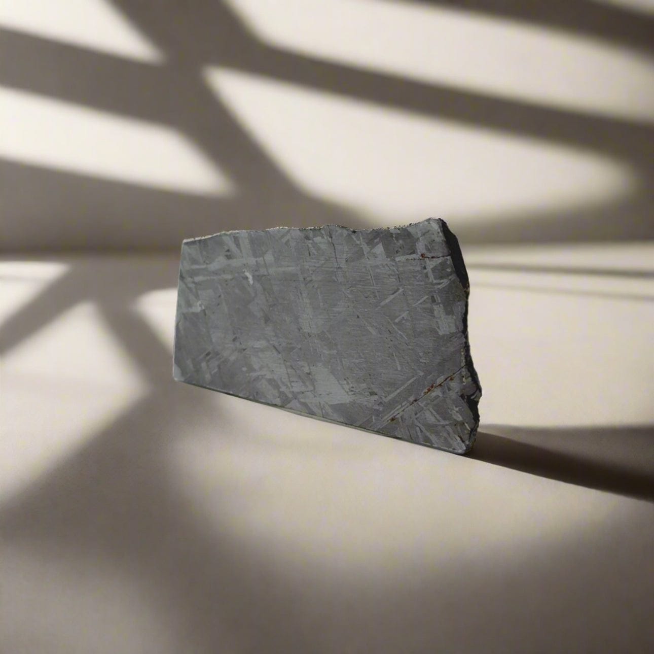 Kalifano Meteorites Gibeon Iron Meteorite Slice from Namibia 2.25" / 34 grams MTG3000.001