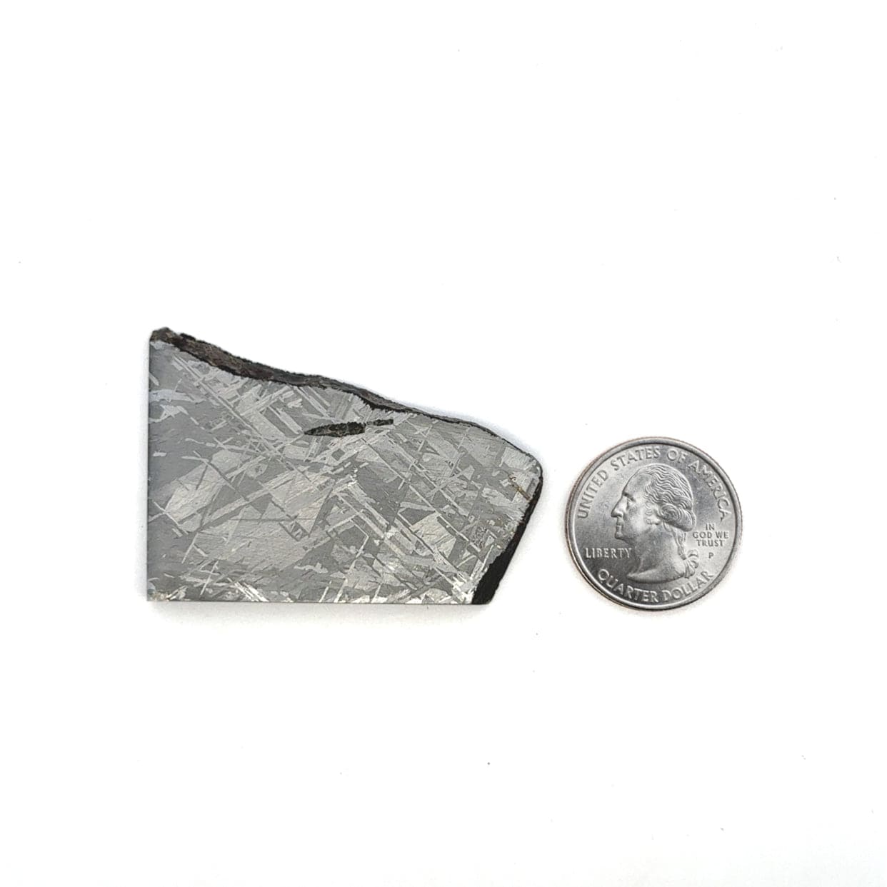 Kalifano Meteorites Gibeon Iron Meteorite Slice from Namibia 2.25" / 48 grams MTG3600.002