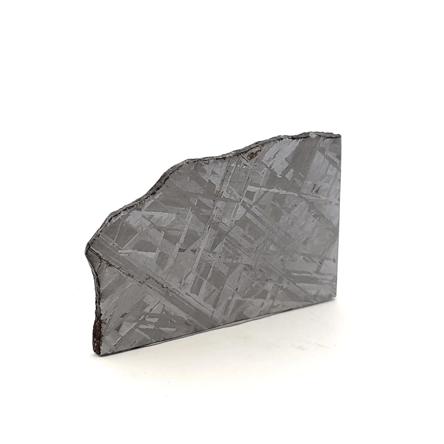 Kalifano Meteorites Gibeon Iron Meteorite Slice from Namibia 2.5" / 47 grams MTG3400.001