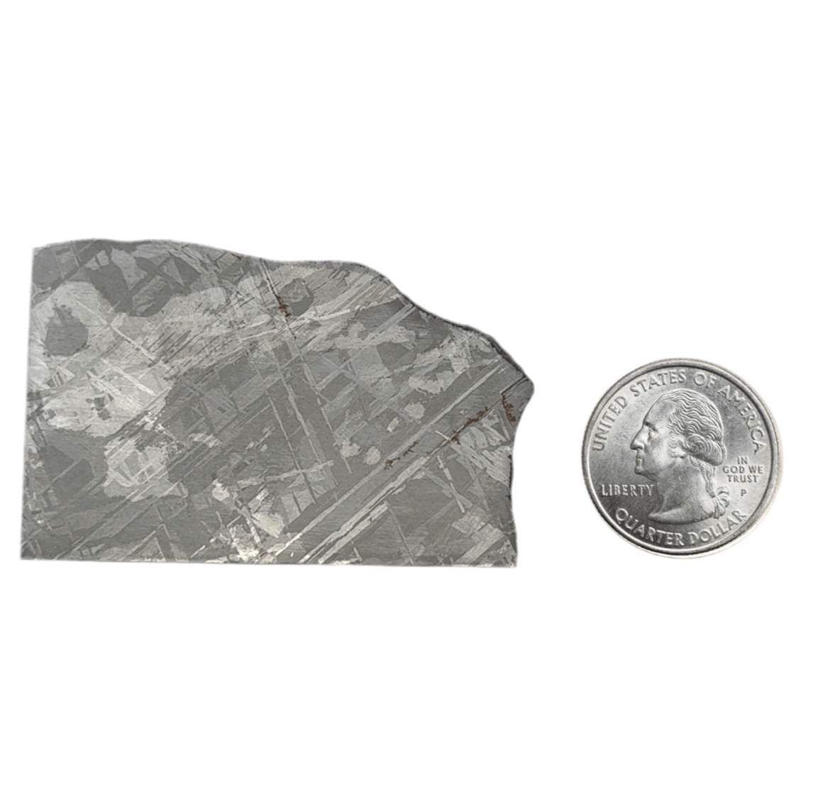 Kalifano Meteorites Gibeon Iron Meteorite Slice from Namibia 2.5" / 47 grams MTG3400.001