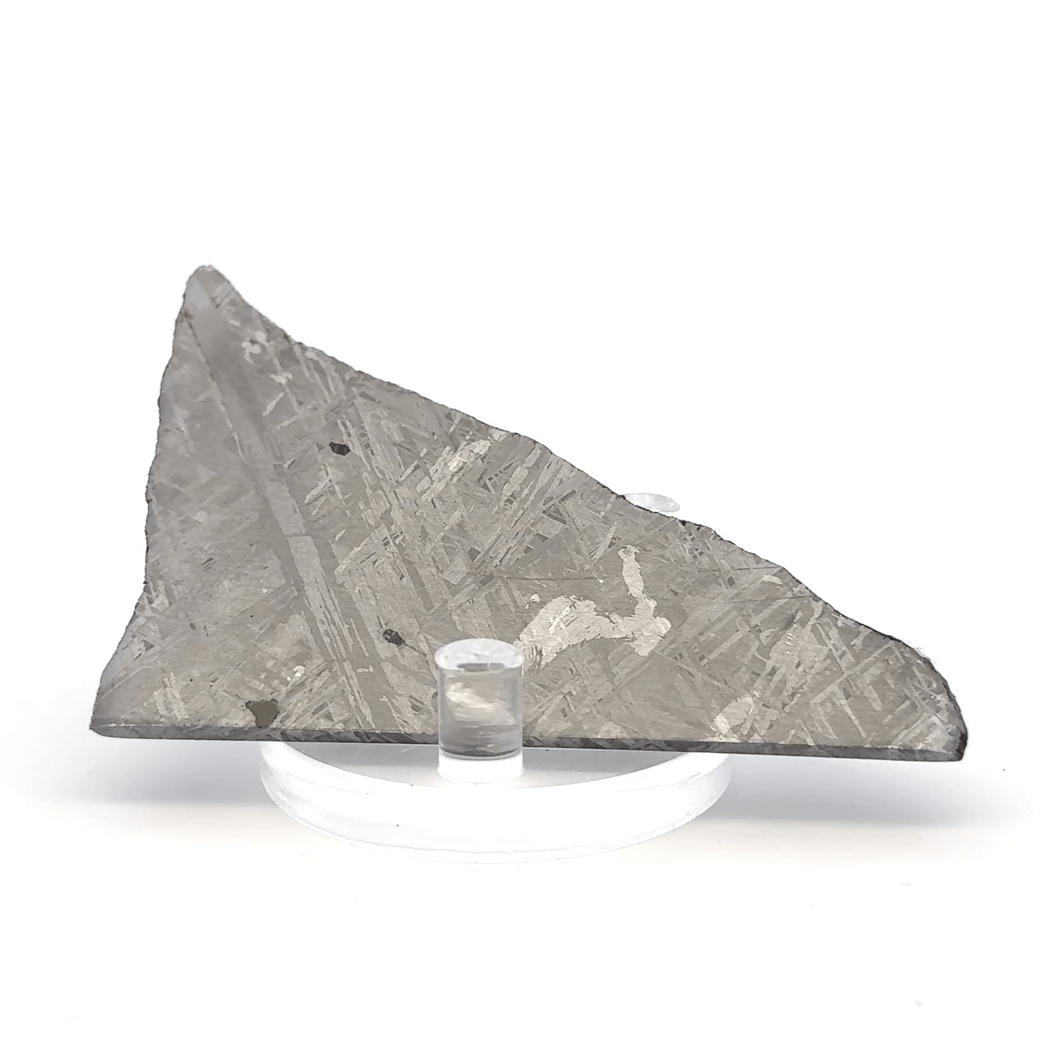 Kalifano Meteorites Gibeon Iron Meteorite Slice from Namibia 3.5" / 59 grams MTG4400.001
