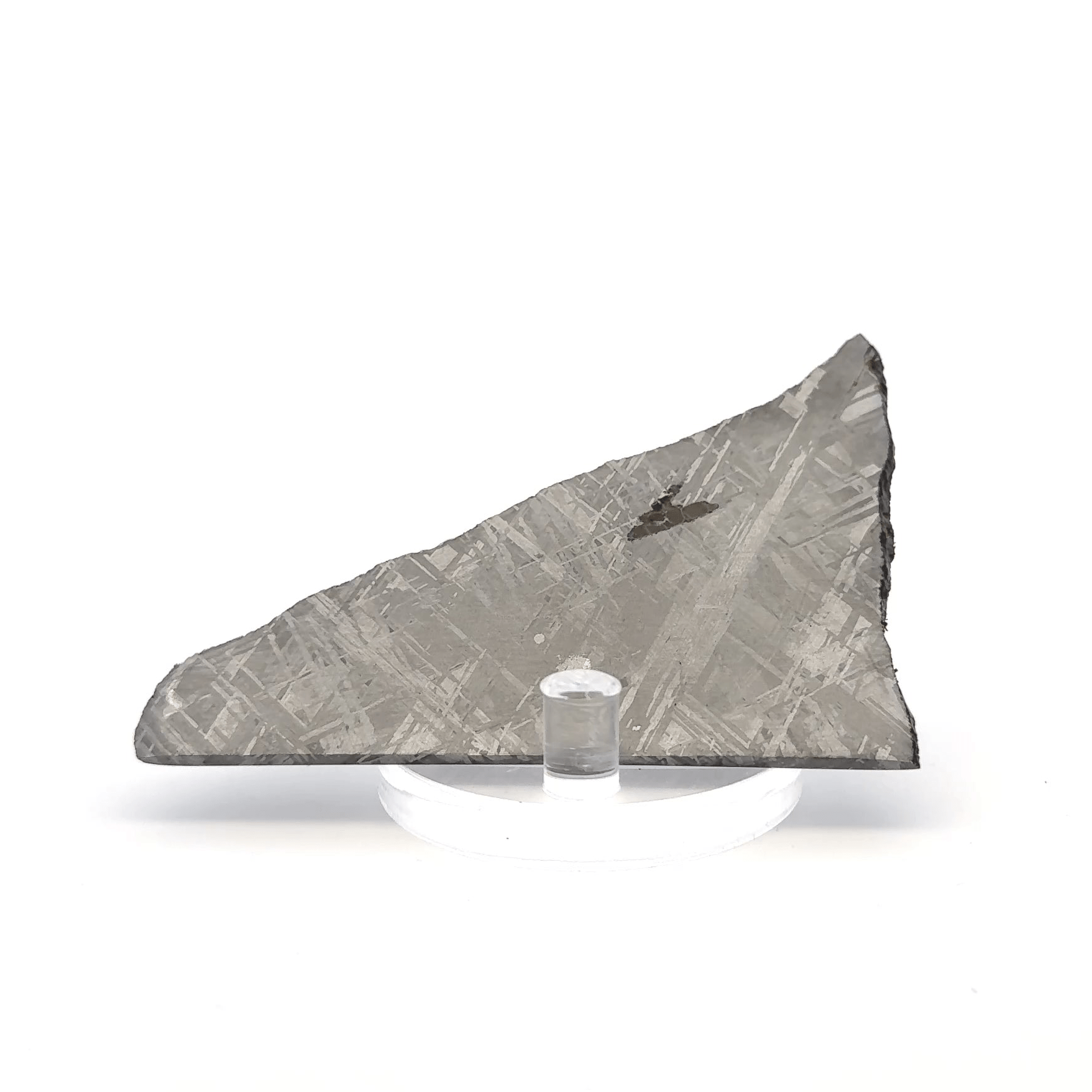 Kalifano Meteorites Gibeon Iron Meteorite Slice from Namibia 3.5" / 59 grams MTG4400.001