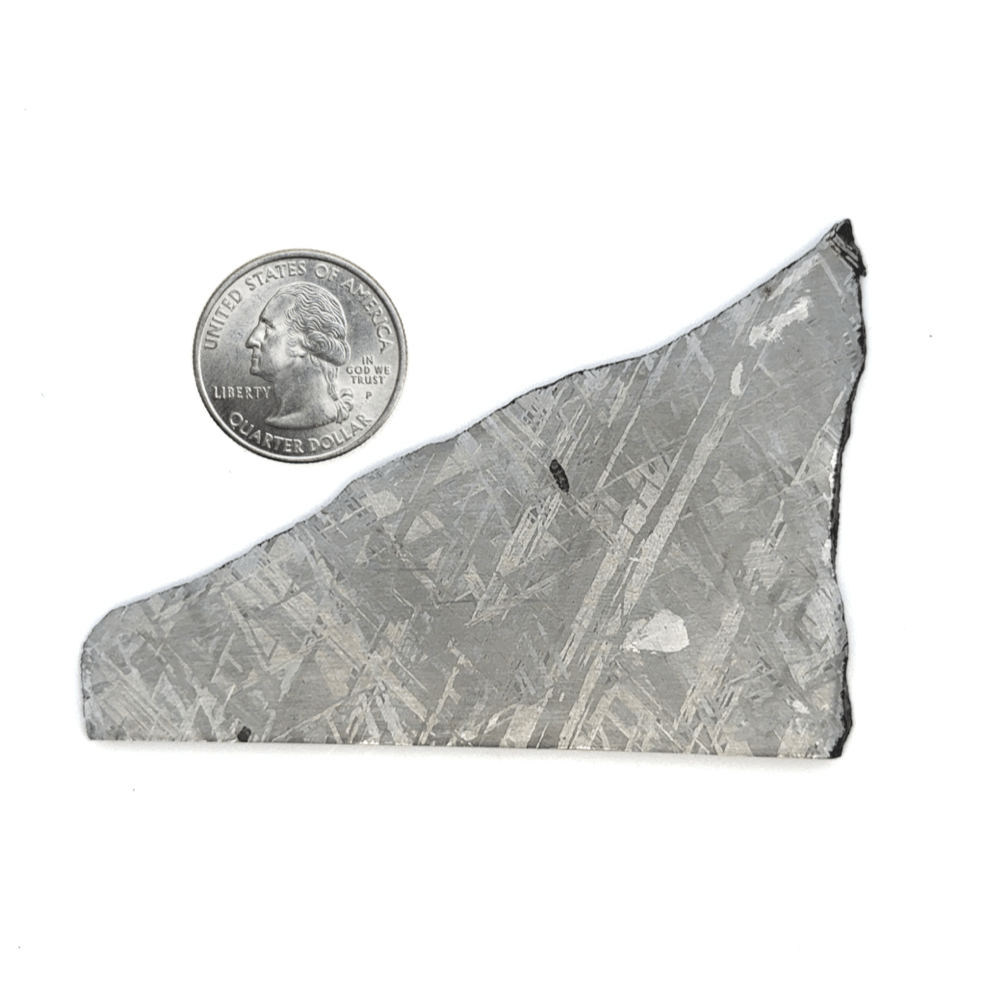 Kalifano Meteorites Gibeon Iron Meteorite Slice from Namibia 3.5" / 69 grams MTG5200.001