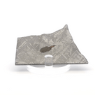 Gibeon Iron Meteorite Slice from Namibia 3