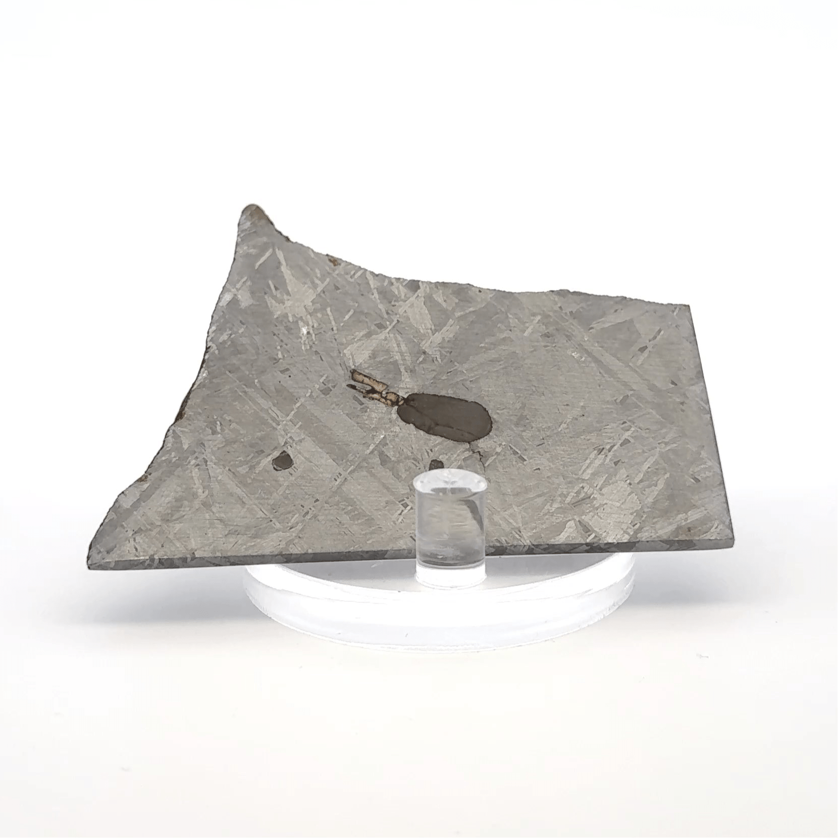 Kalifano Meteorites Gibeon Iron Meteorite Slice from Namibia 3" / 55 grams MTG4000.001