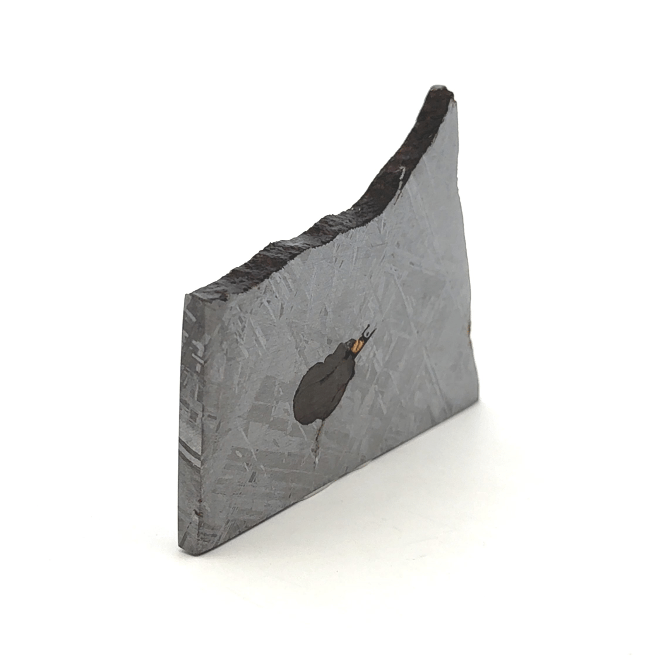 Kalifano Meteorites Gibeon Iron Meteorite Slice from Namibia 3" / 88 grams MTG6400.001
