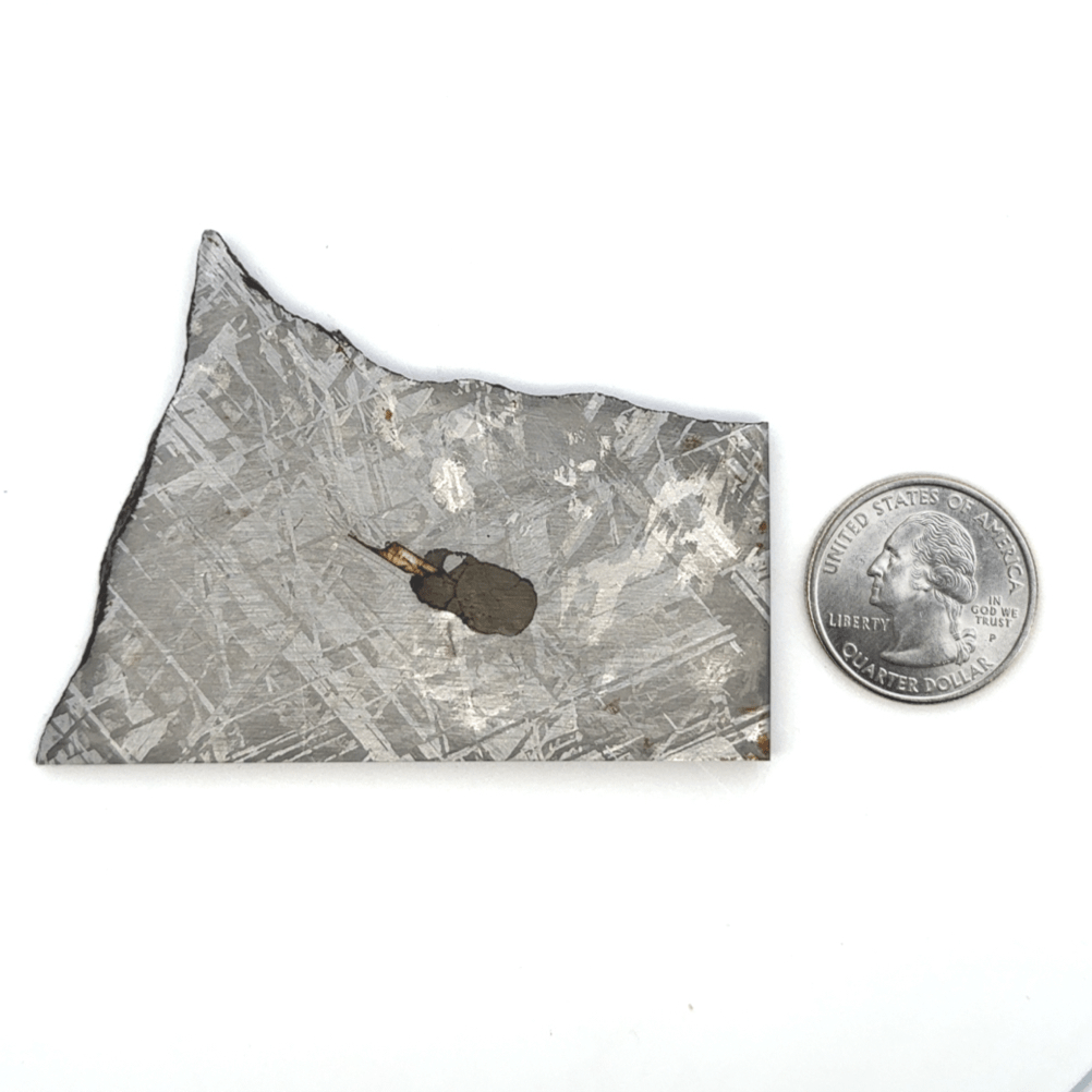 Kalifano Meteorites Gibeon Iron Meteorite Slice from Namibia 3" / 88 grams MTG6400.001