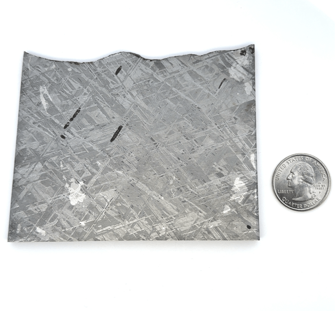 Kalifano Meteorites Gibeon Iron Meteorite Slice from Namibia 4" / 277 grams MTG20000.001
