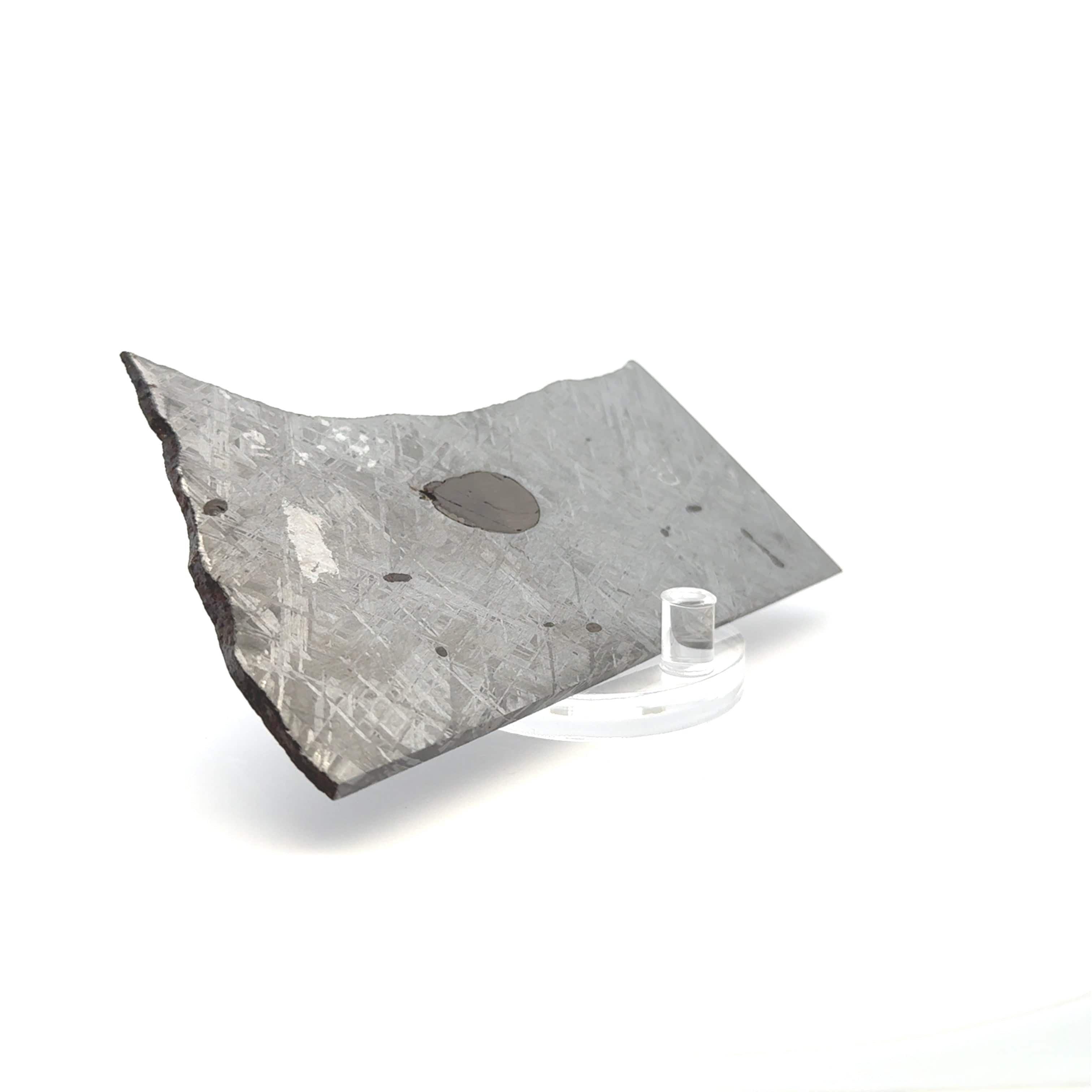 Kalifano Meteorites Gibeon Iron Meteorite Slice from Namibia 4.75" / 131 grams MTG9600.001