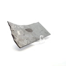Gibeon Iron Meteorite Slice from Namibia 4.75