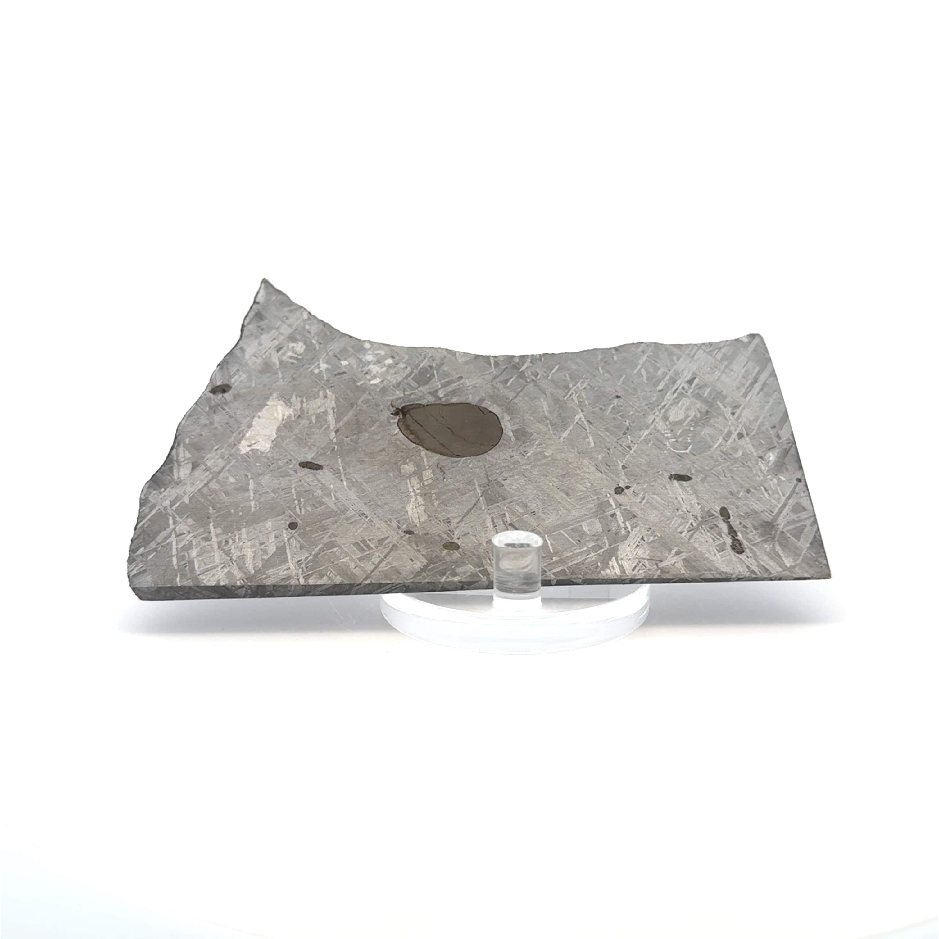 Kalifano Meteorites Gibeon Iron Meteorite Slice from Namibia 4.75" / 131 grams MTG9600.001