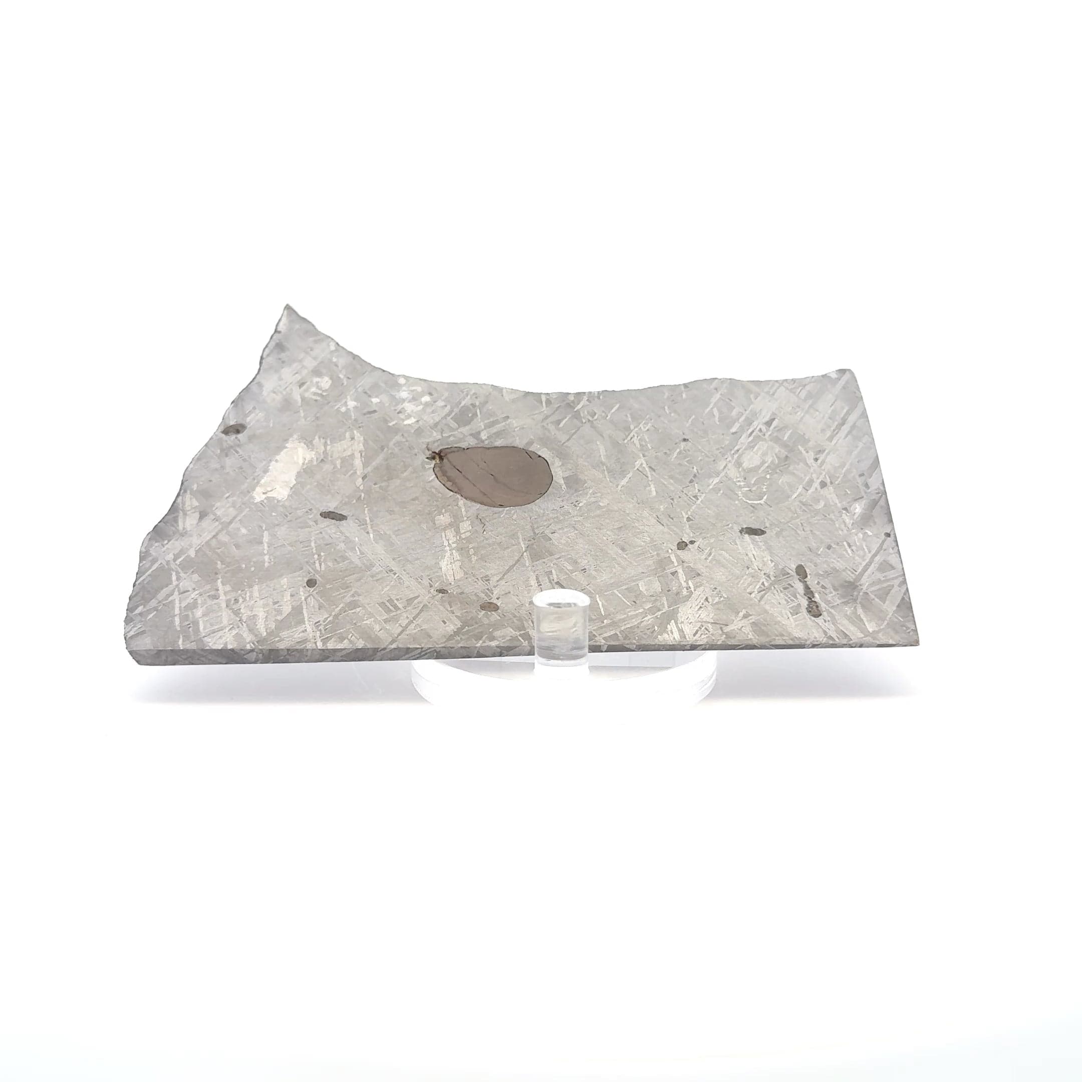 Kalifano Meteorites Gibeon Iron Meteorite Slice from Namibia 4.75" / 131 grams MTG9600.001