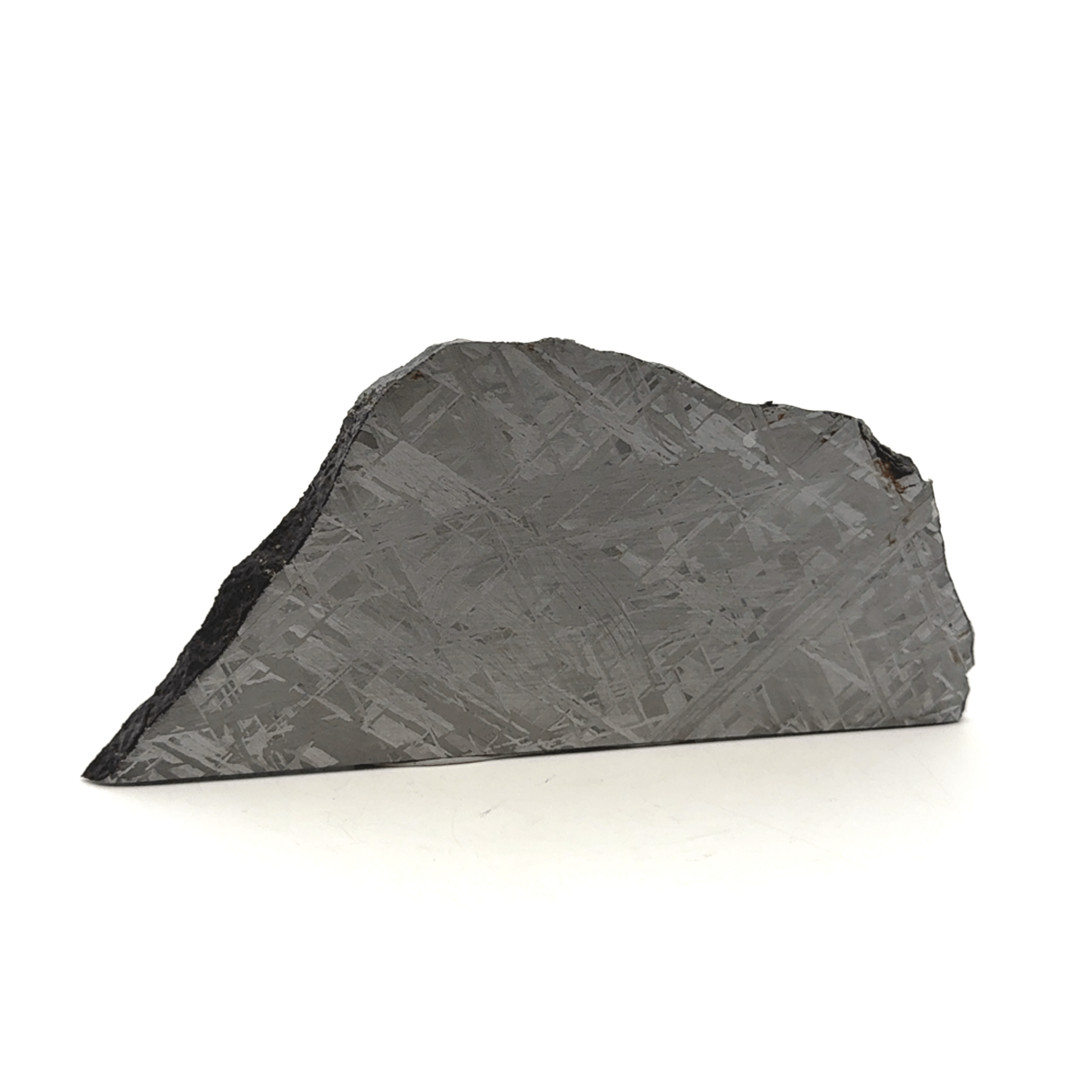 Kalifano Meteorites Gibeon Iron Meteorite Slice from Namibia 4" / 94 grams MTG7400.001