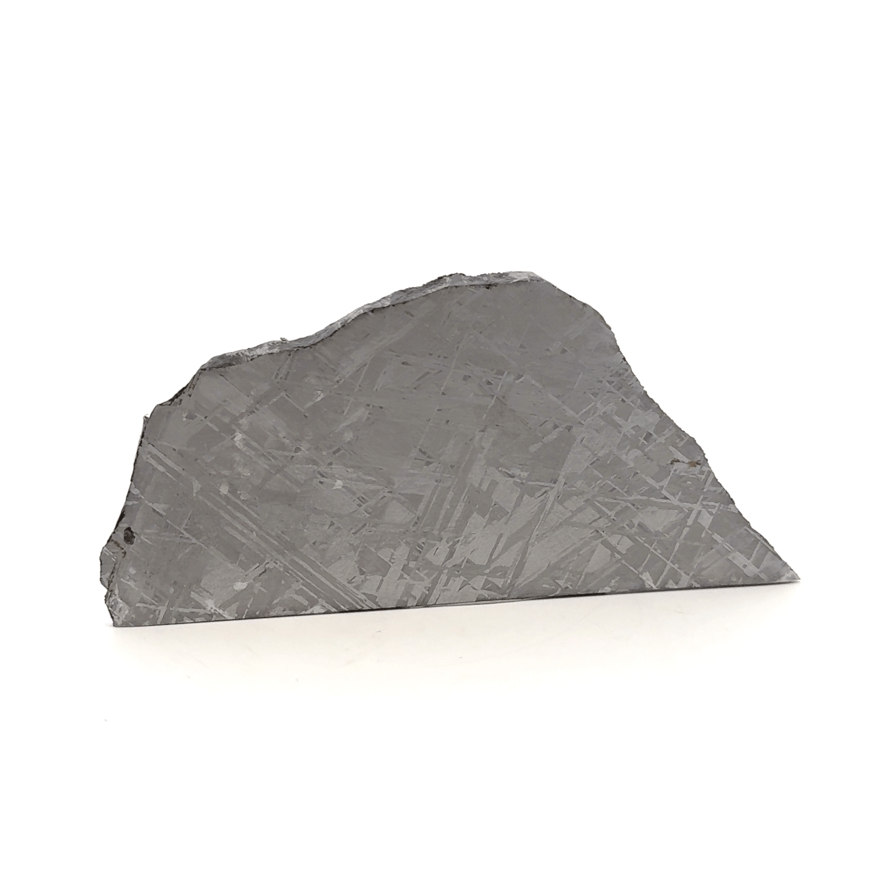 Kalifano Meteorites Gibeon Iron Meteorite Slice from Namibia 4" / 94 grams MTG7400.001