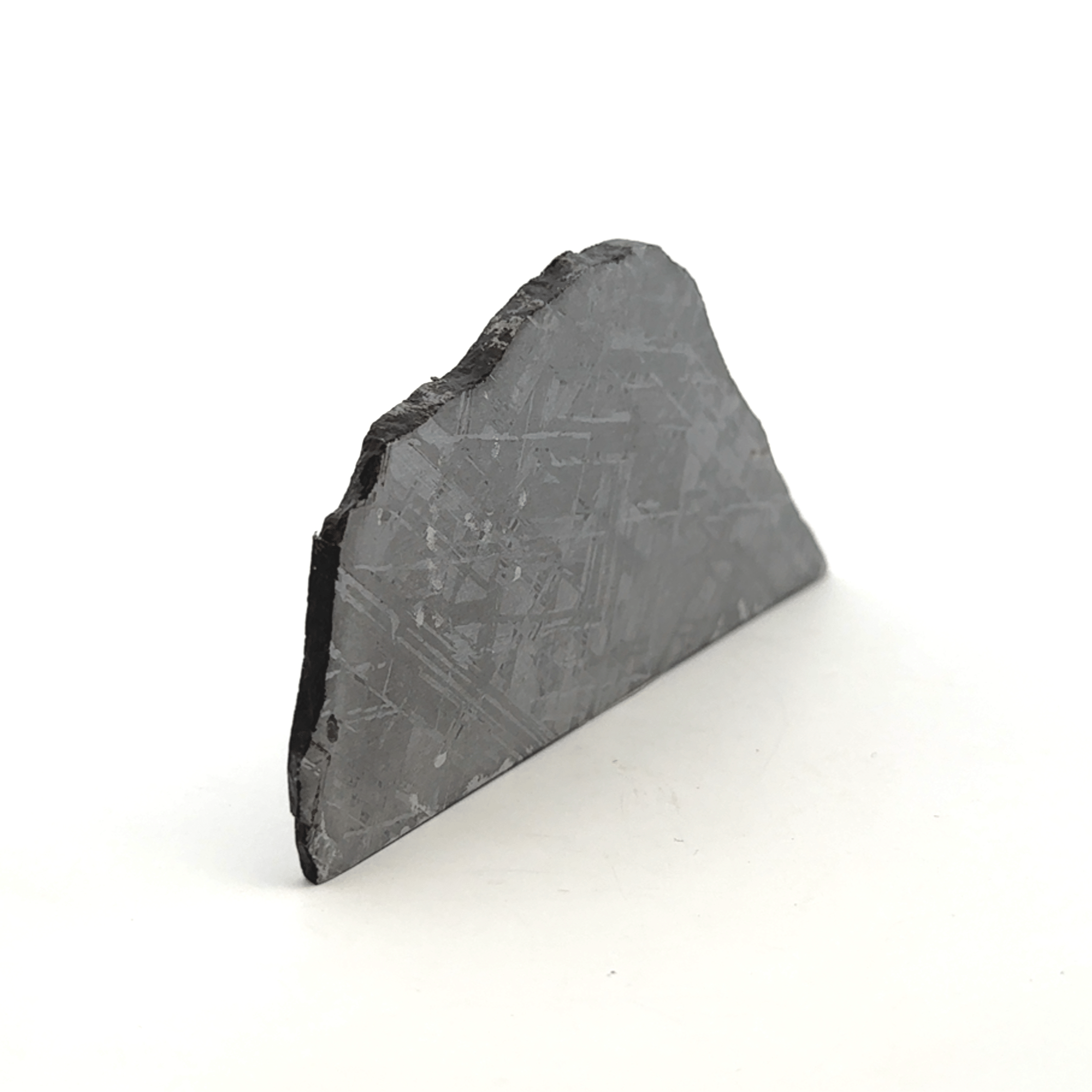 Kalifano Meteorites Gibeon Iron Meteorite Slice from Namibia 4" / 94 grams MTG7400.001