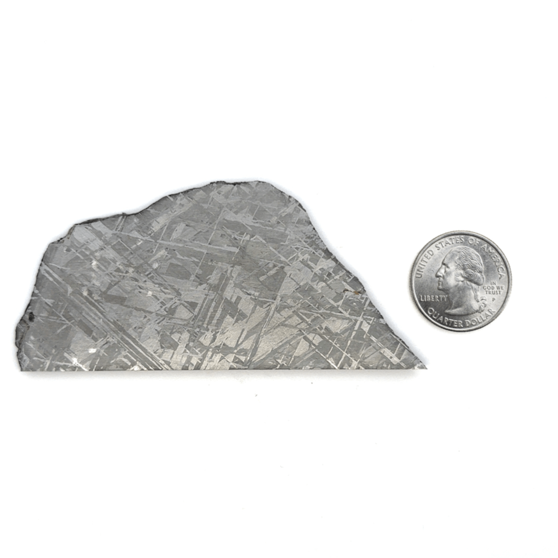 Kalifano Meteorites Gibeon Iron Meteorite Slice from Namibia 4" / 94 grams MTG7400.001