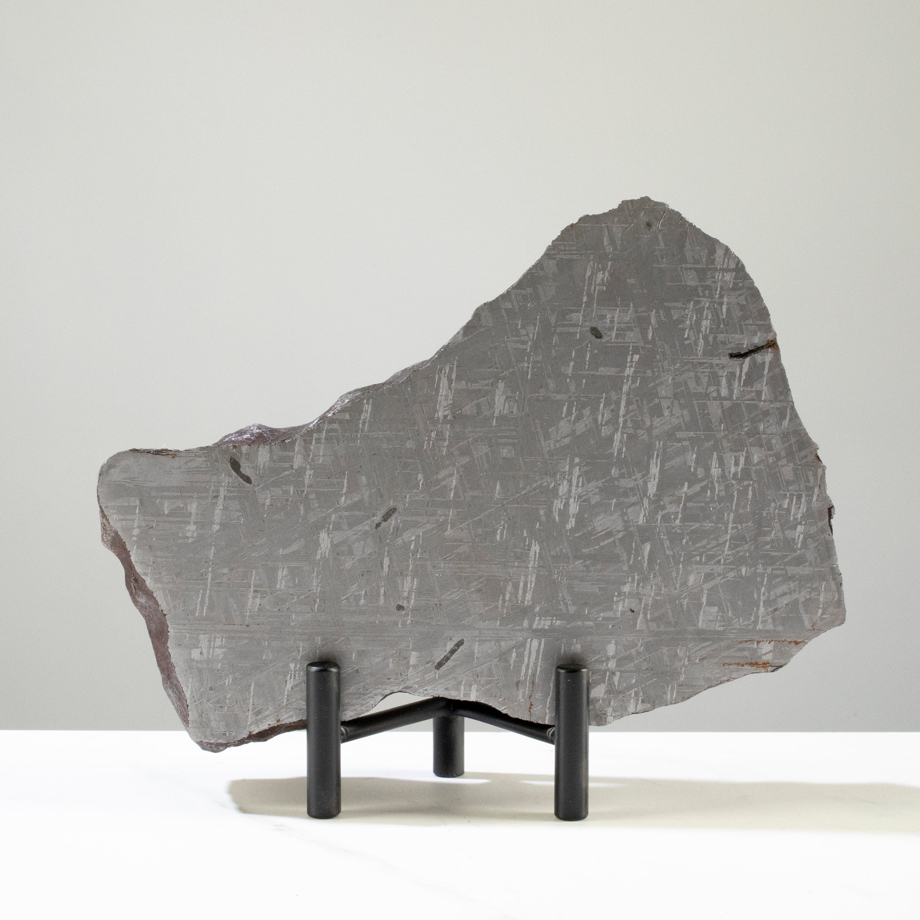 Kalifano Meteorites Gibeon with Carbon Iron Meteorite from Namibia 7.5" / 2,440 grams MTG180000.002